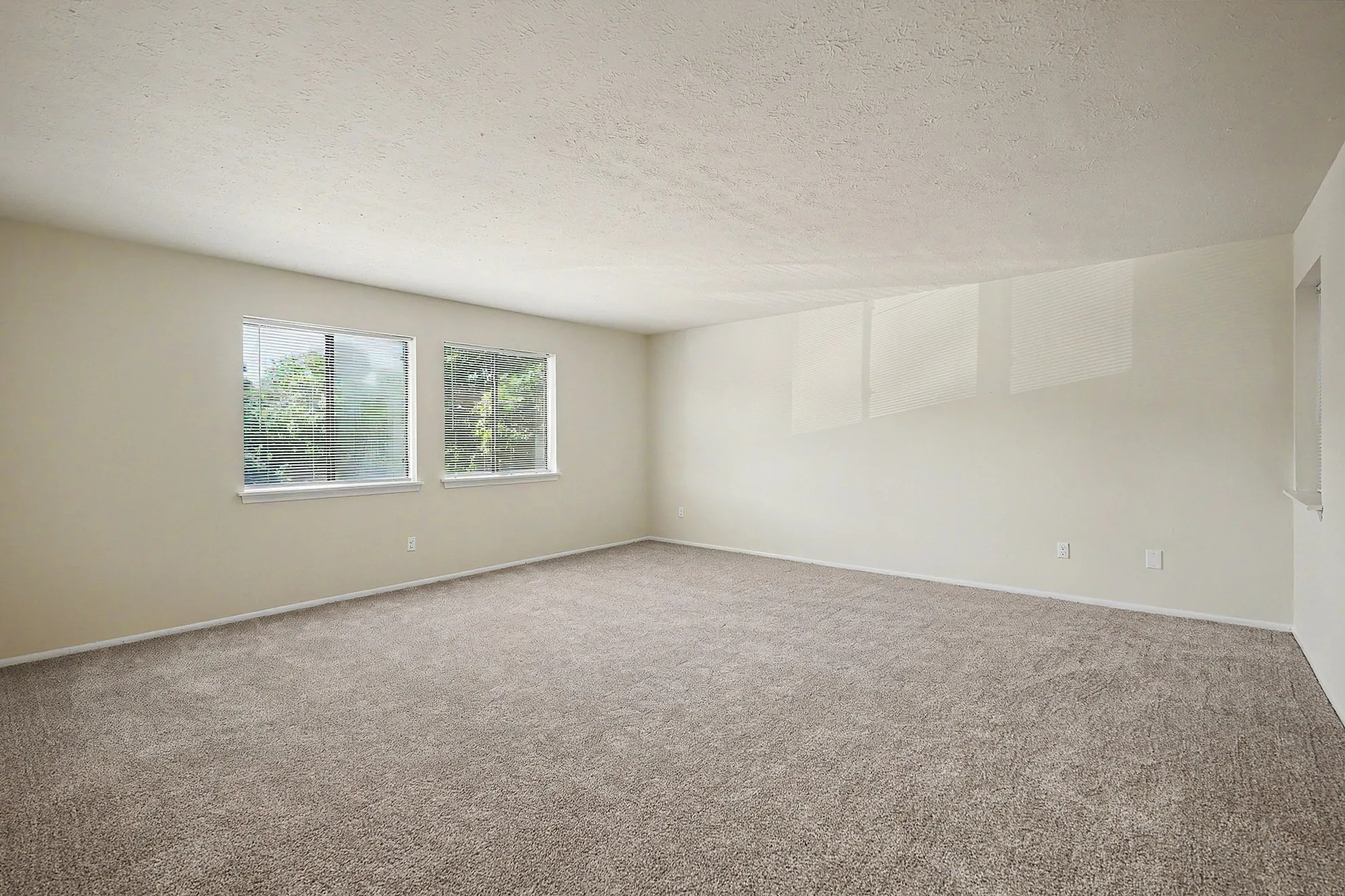 Spacious and bright living room with large windows, plush carpet, and neutral walls, offering a cozy and inviting atmosphere.