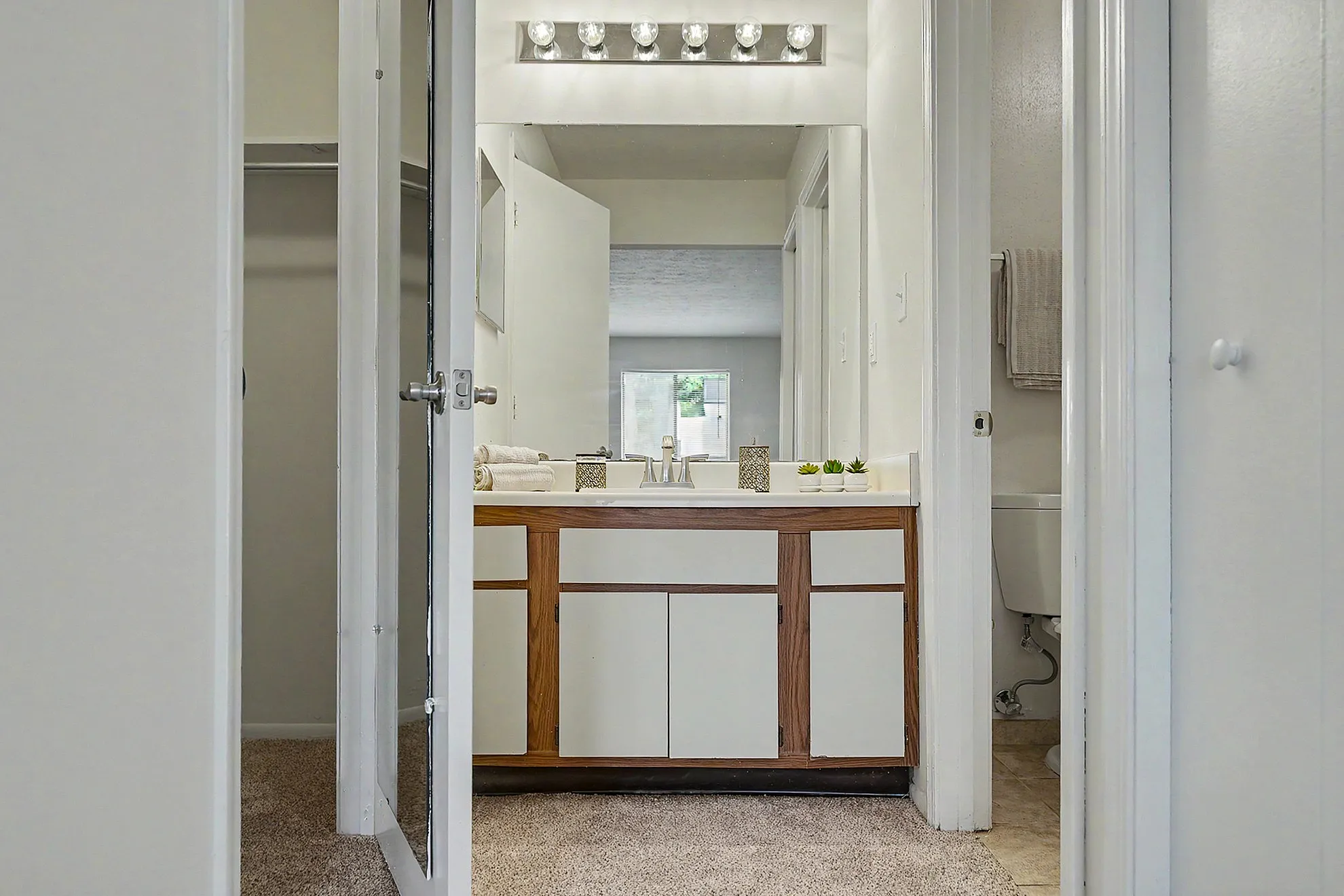 Chic bathroom featuring elegant lighting, modern vanity, and plush carpet with a bright, airy ambiance.