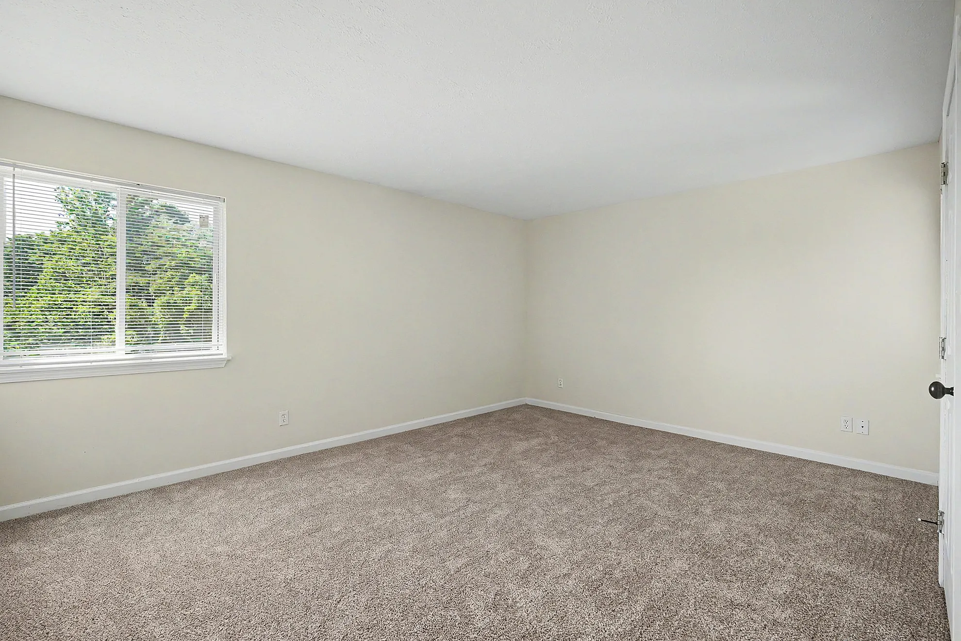 Bright and spacious bedroom with soft carpet flooring and a large window offering lush greenery views.