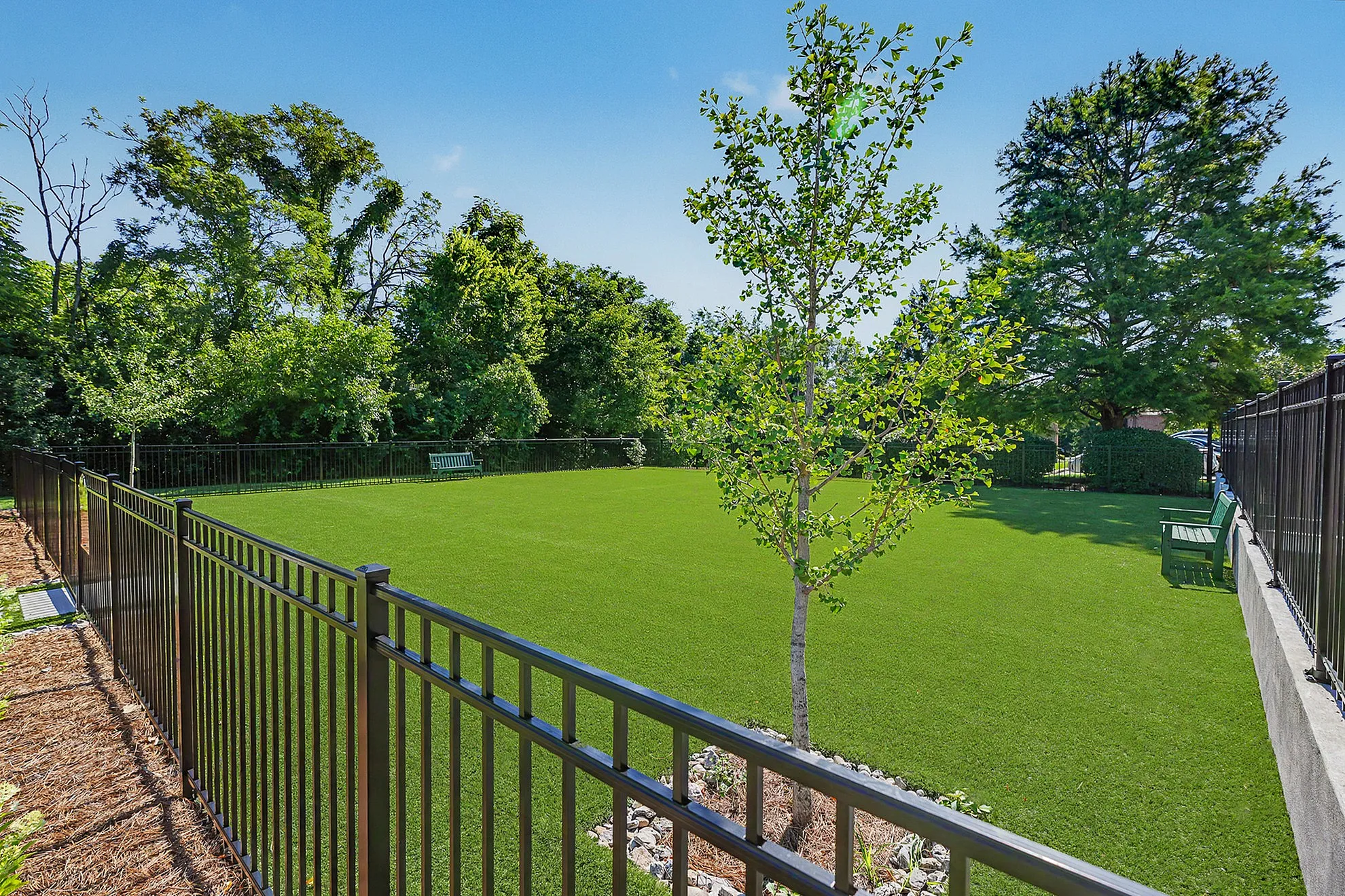 Inviting fenced green lawn with lush trees and benches, perfect for relaxation and outdoor enjoyment.