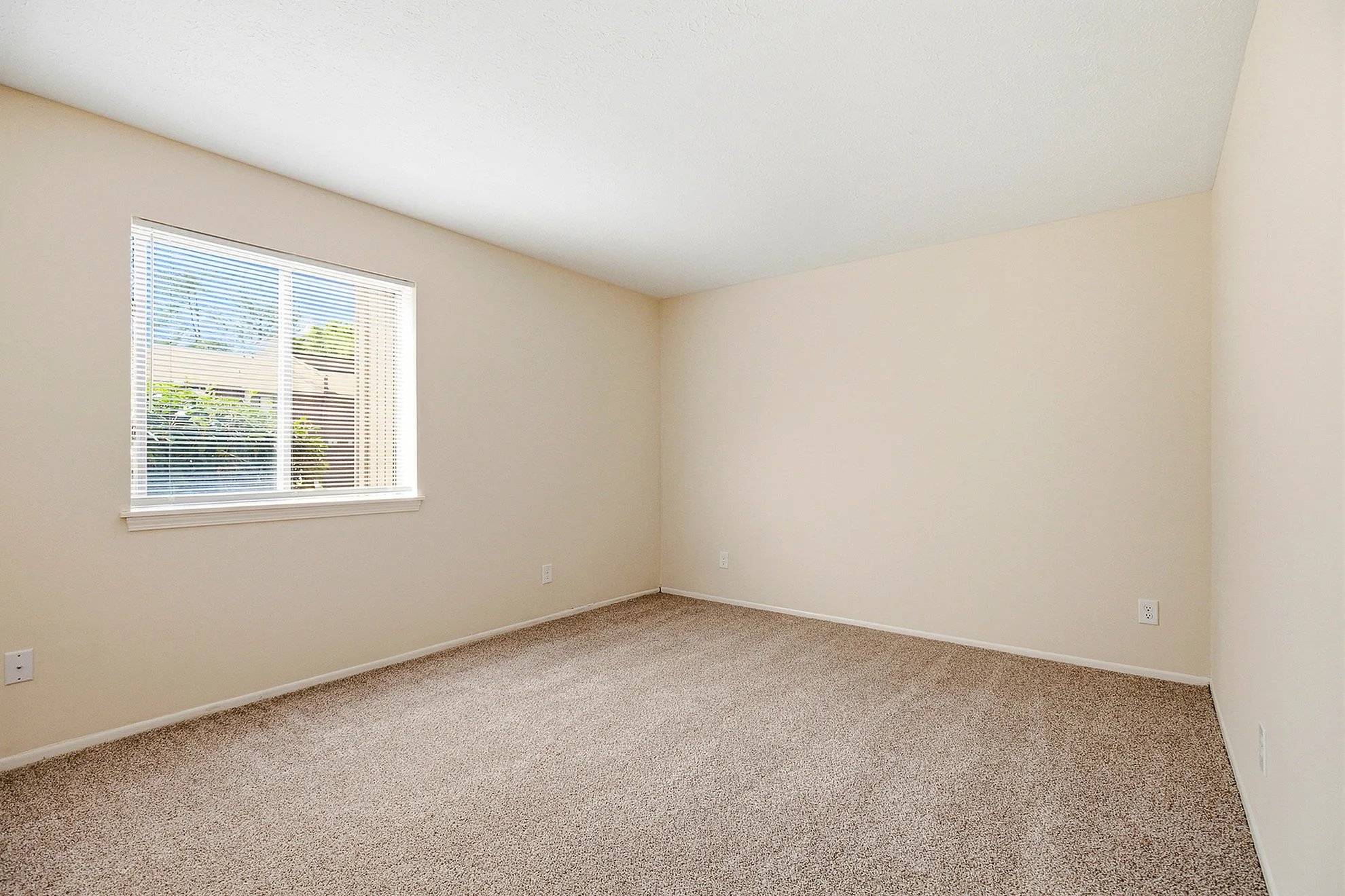 Bright and airy room with plush carpeting and a large window offering scenic outdoor views.
