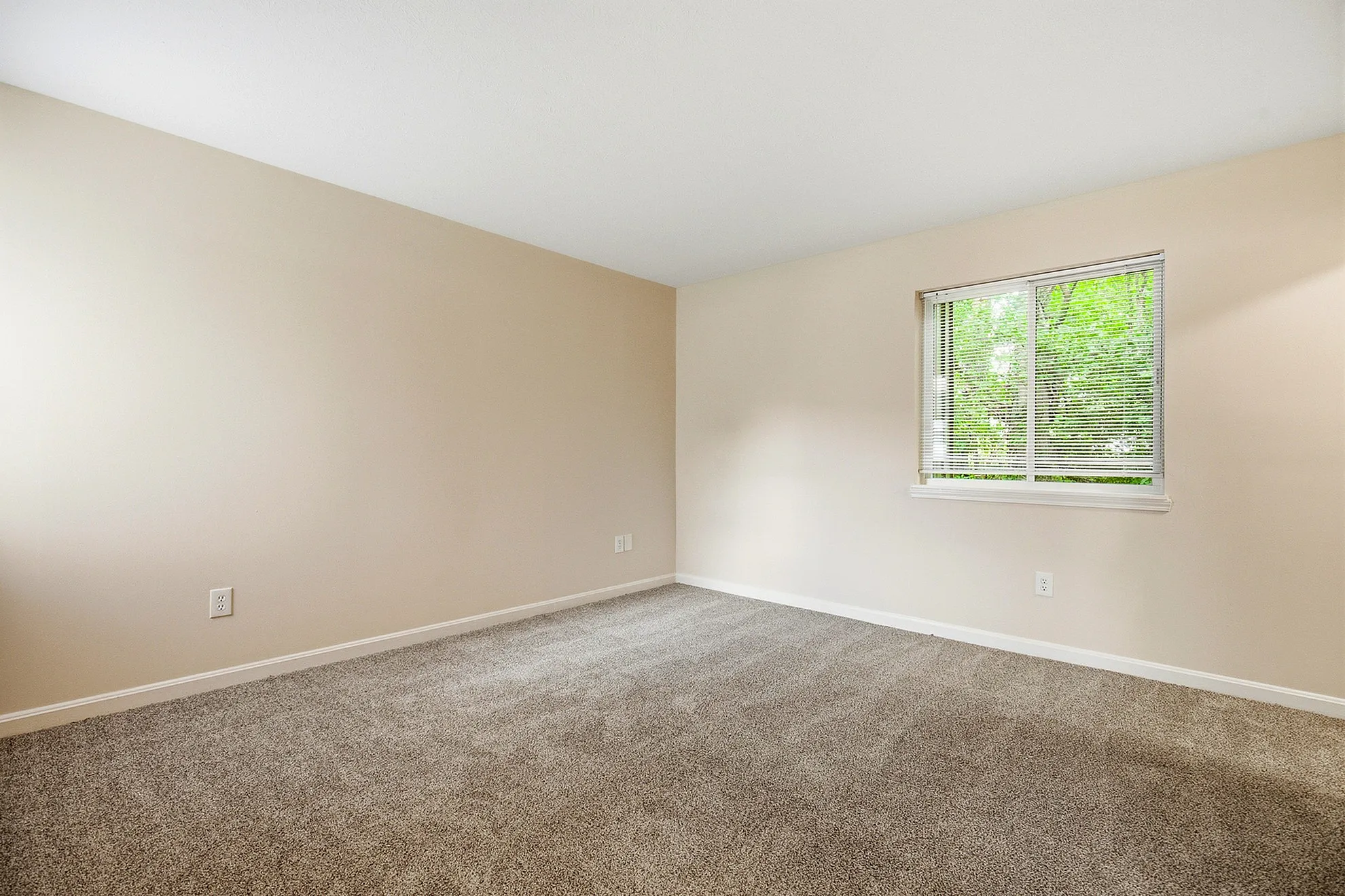 Inviting empty room with plush carpet, large window for natural light, and freshly painted walls.