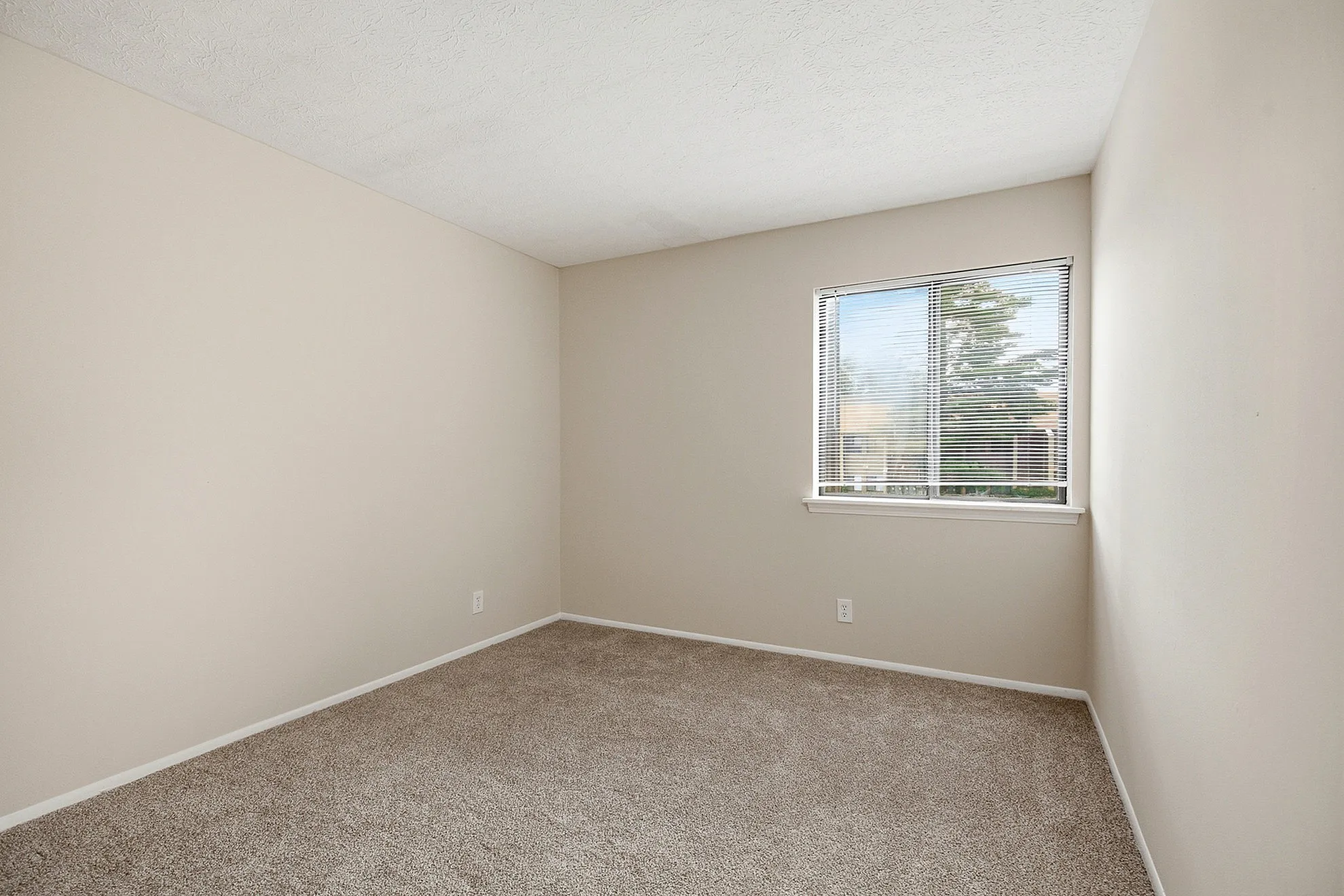Bright and inviting empty room with plush carpeting and a large window allowing natural light.