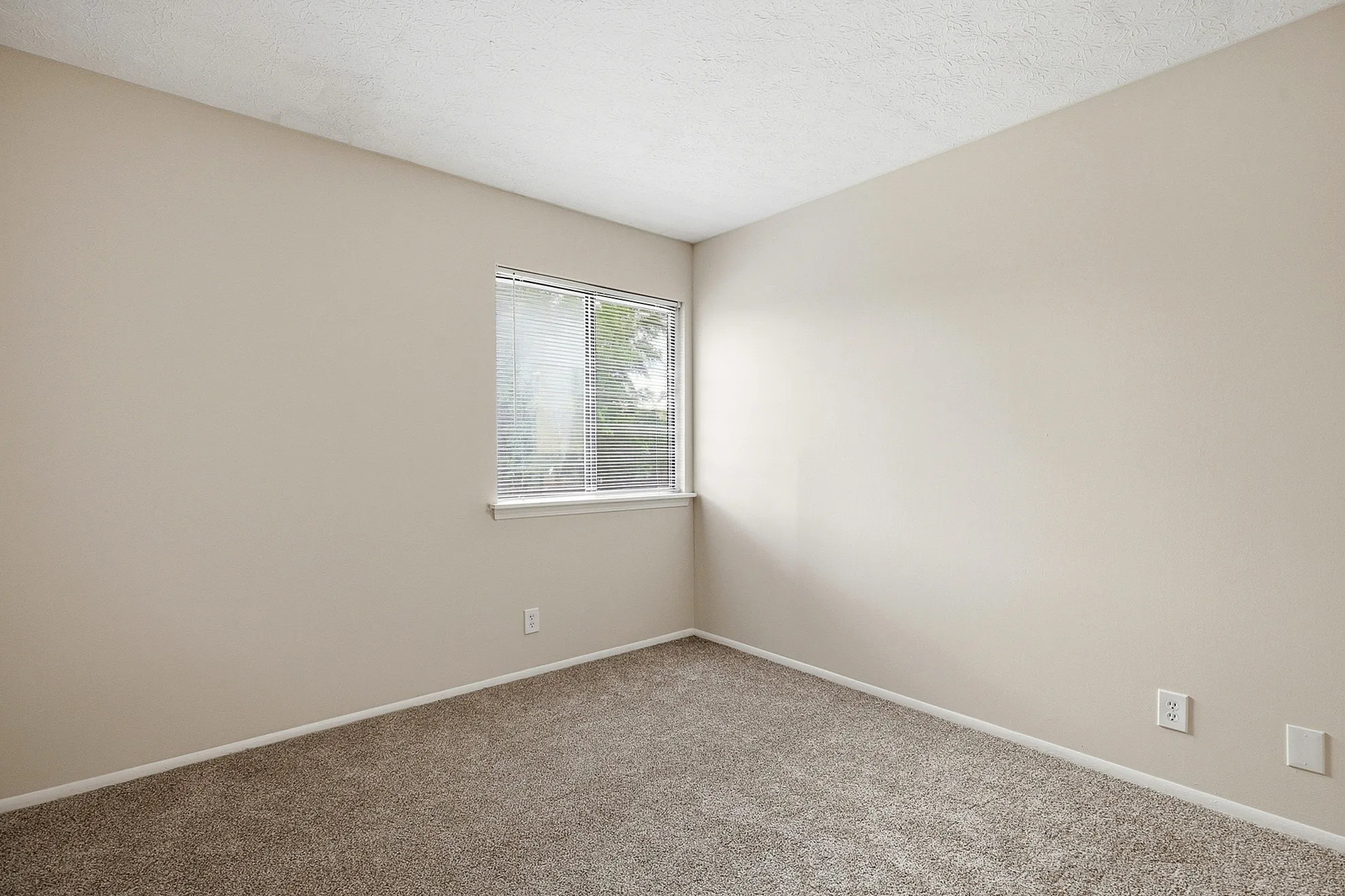 Bright and airy room with neutral walls, carpeted floor, and a large window inviting natural light.