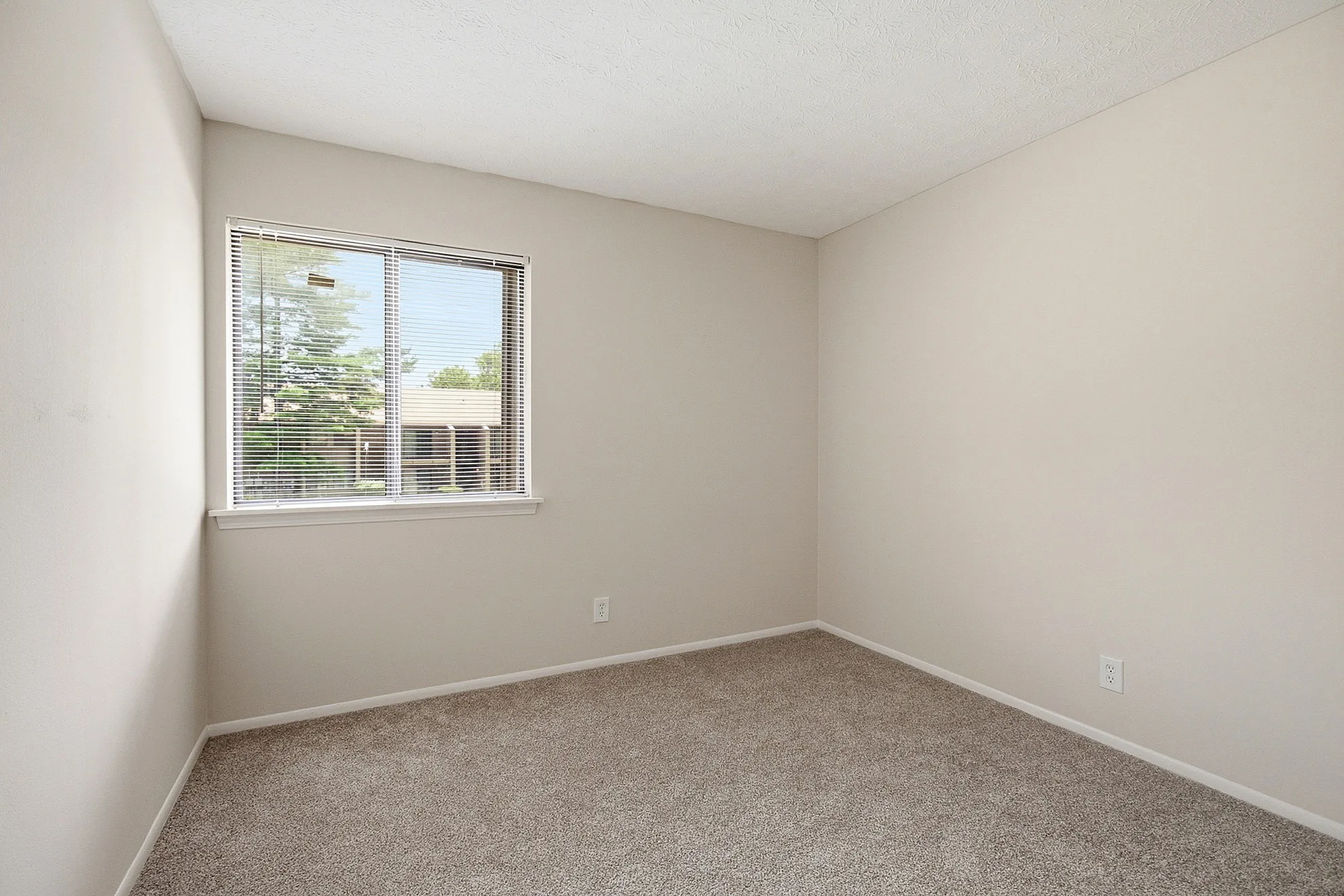 Bright, cozy bedroom with neutral walls, plush carpet, and a large window showcasing a serene outdoor view.