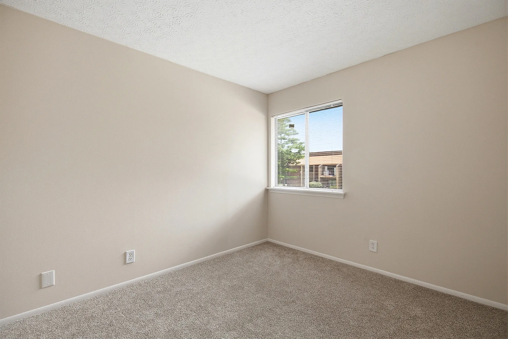 Bright and inviting bedroom with plush carpeting and a large window, offering a tranquil view and abundant natural light.