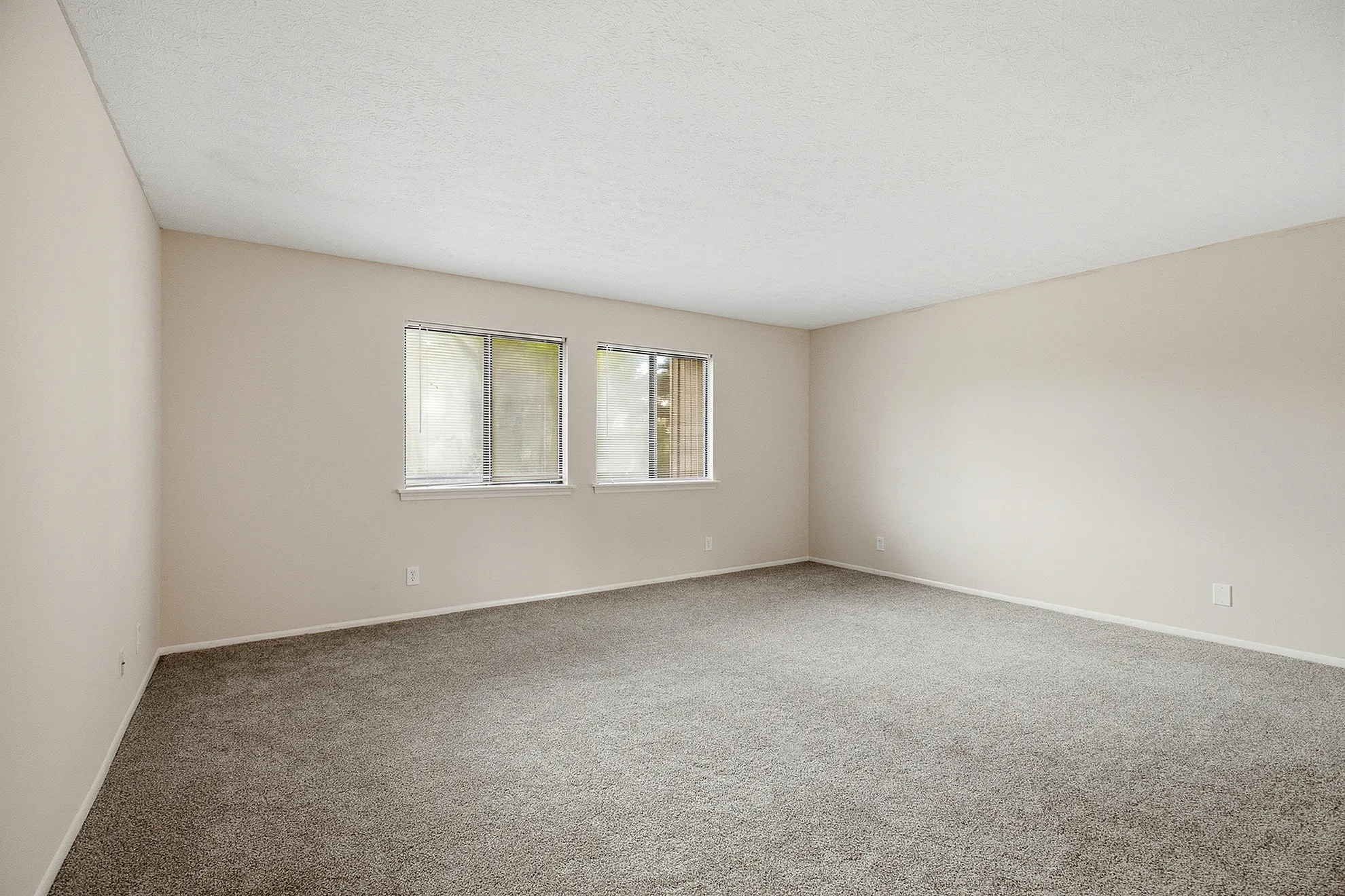 Spacious carpeted room with soft natural light, perfect for creative personalization and comfort.