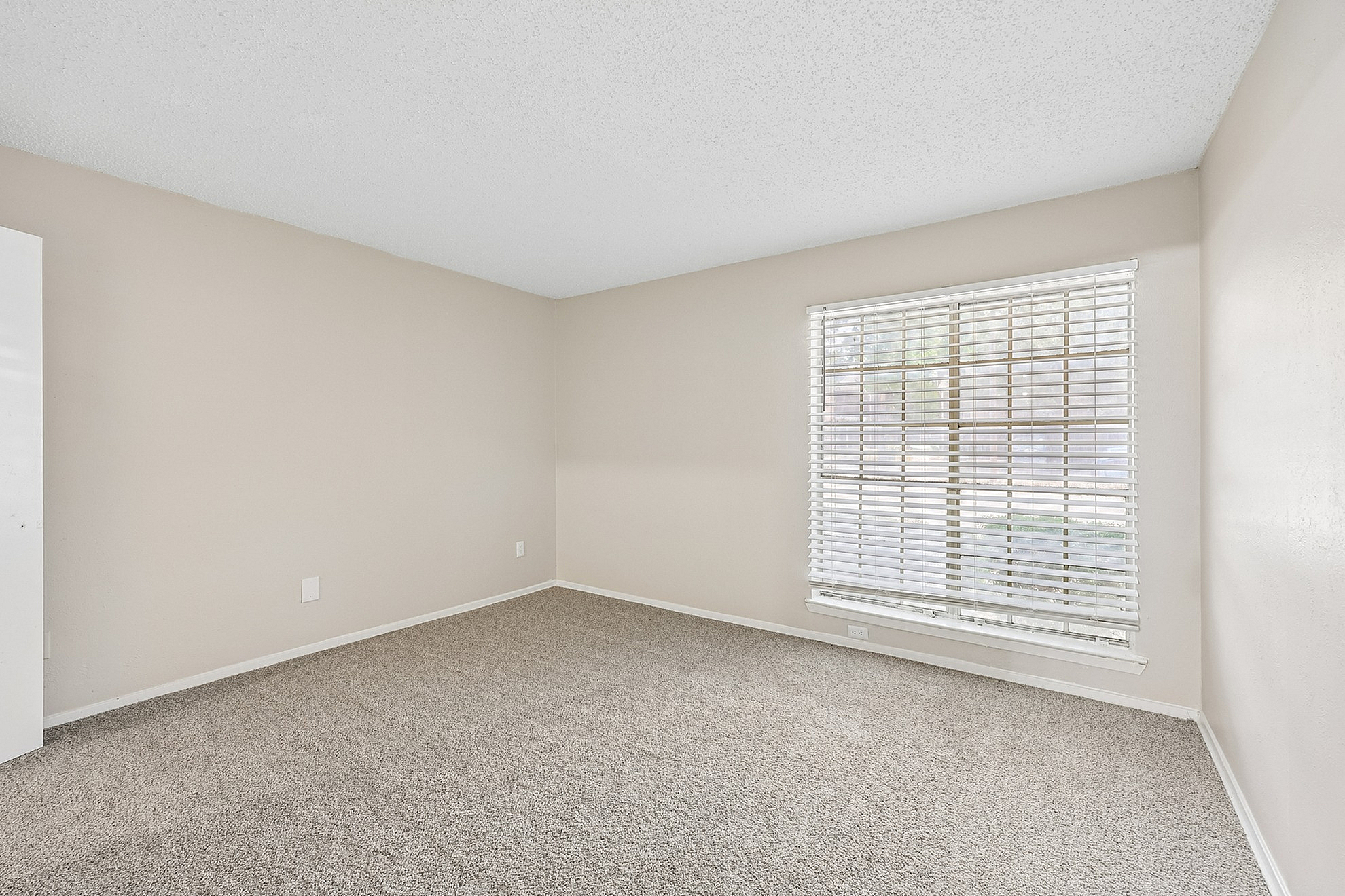 Bright, spacious bedroom with large window and soft carpet flooring in a modern apartment setting.