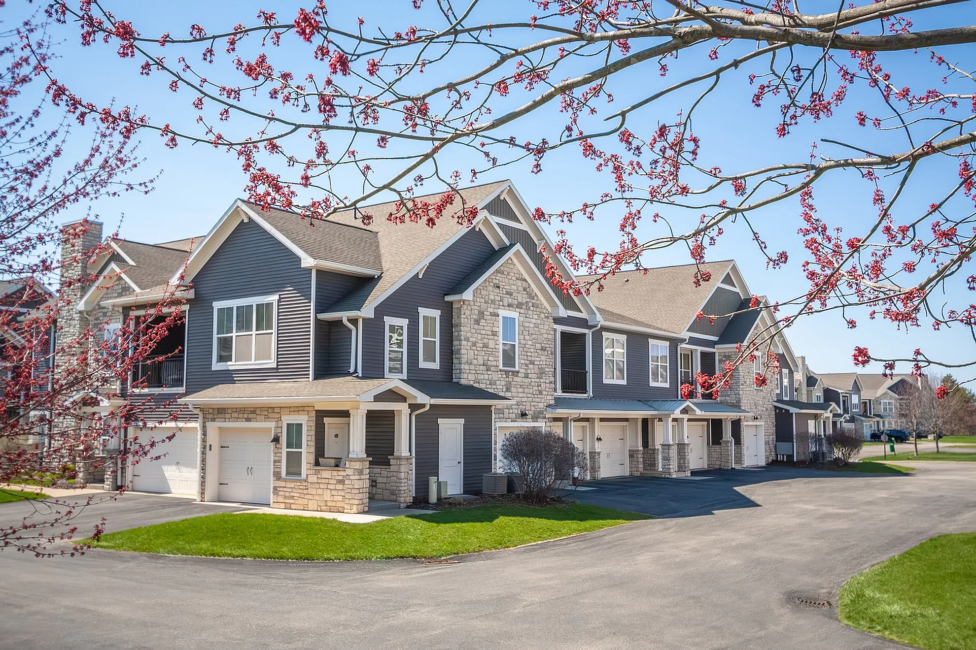 Charming townhouse community with elegant architecture, blossoming trees, and lush green lawns, showcasing modern living in a serene neighborhood.