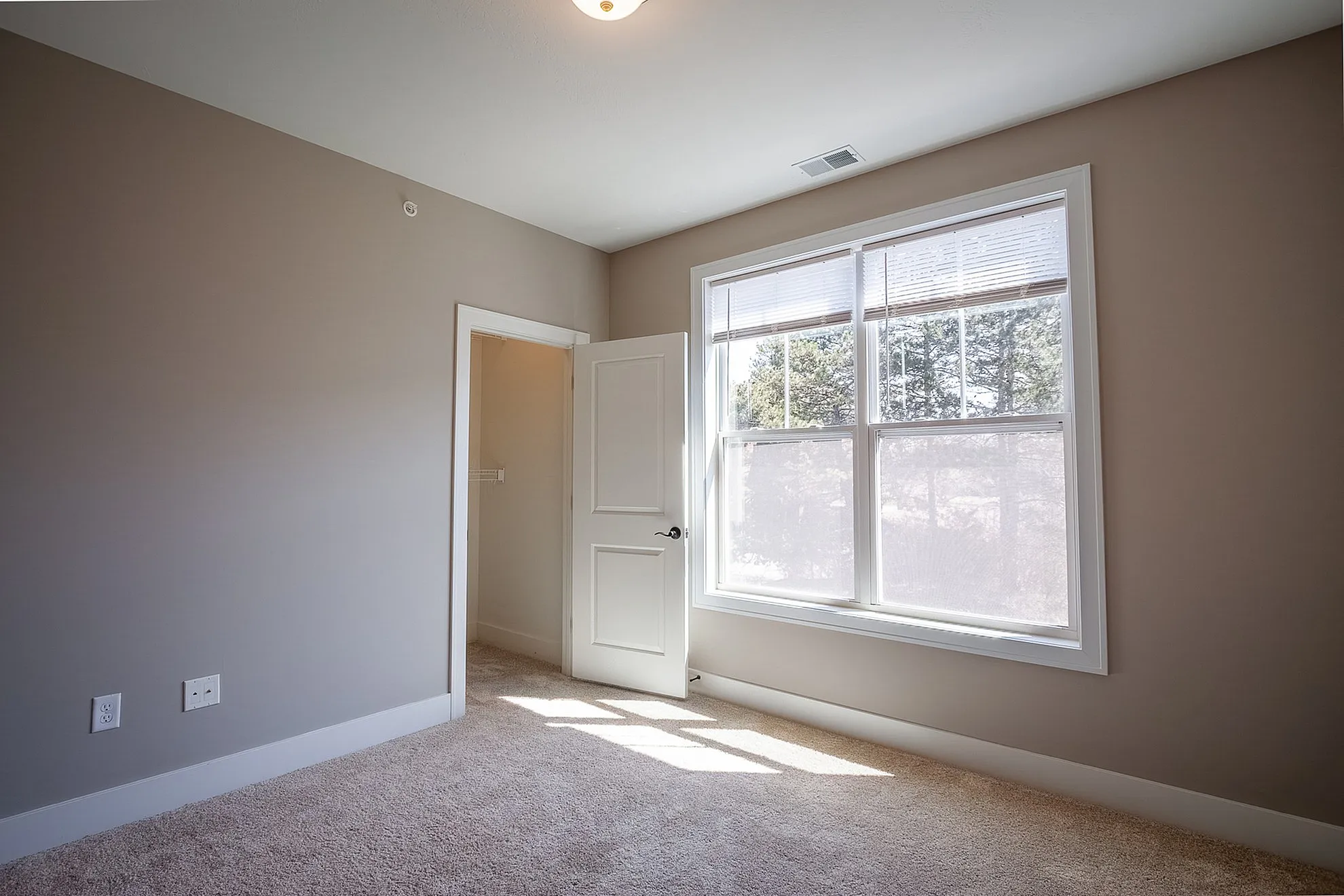Bright bedroom with plush carpeting and large window providing abundant natural light, featuring a walk-in closet and modern neutral walls.