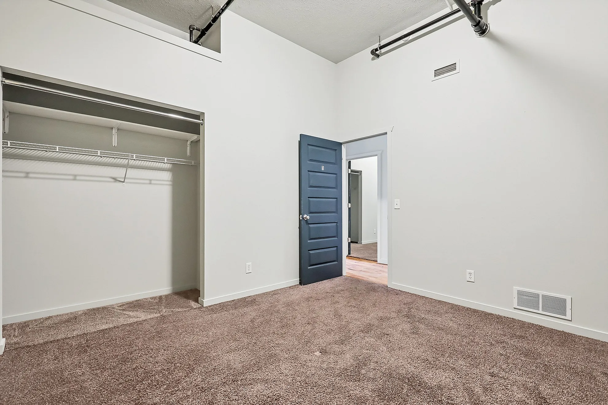 Bright, spacious room with plush carpet, open closet, and modern design door frames an atmosphere of comfort and style.