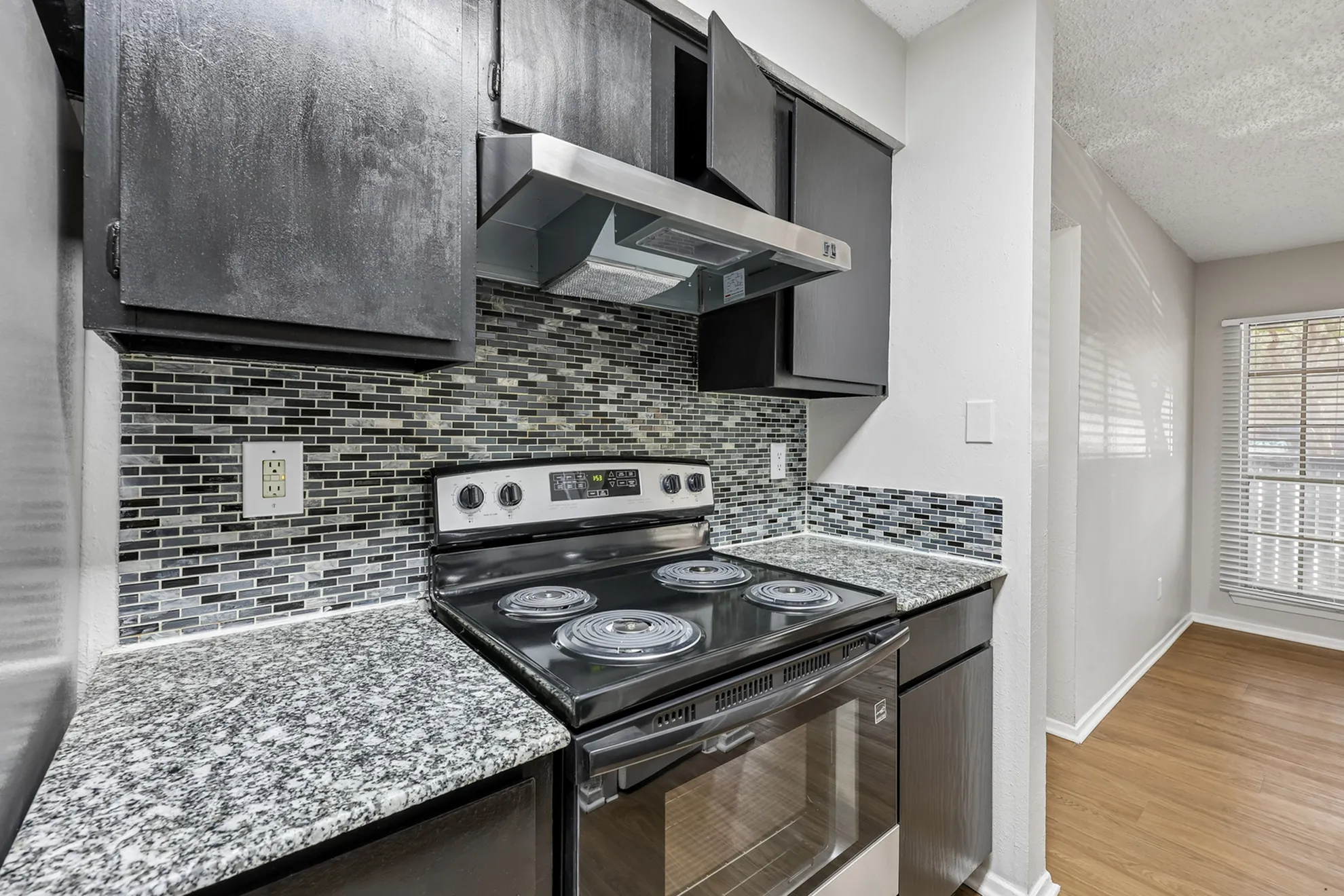 Modern kitchen with sleek black cabinets, granite countertops, and stainless steel appliances, featuring a stylish tile backsplash.