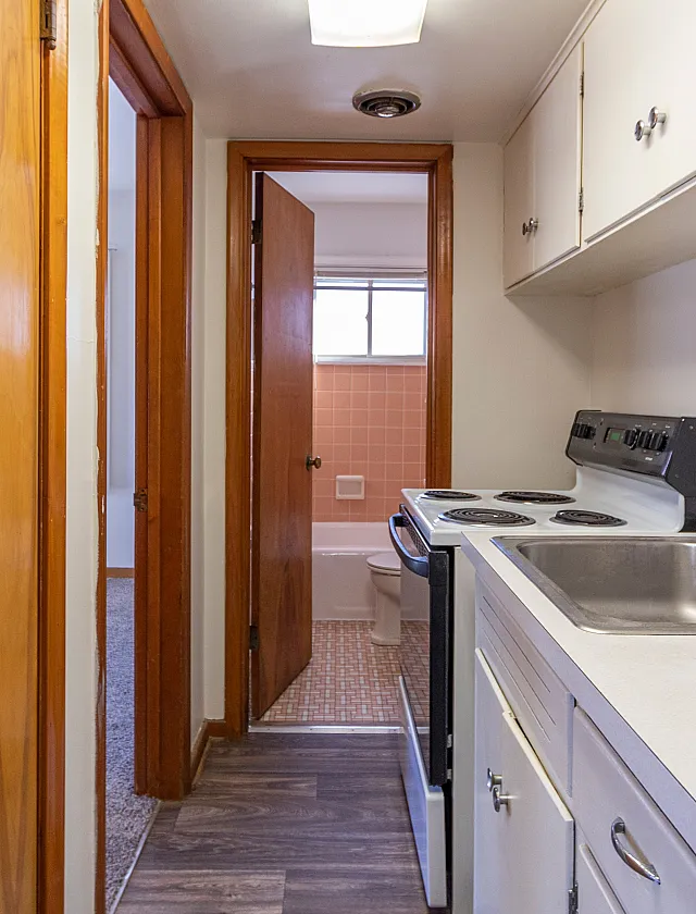 Cozy apartment hallway showcasing an efficient kitchen with stylish cabinetry and a view into a sunlit bathroom.