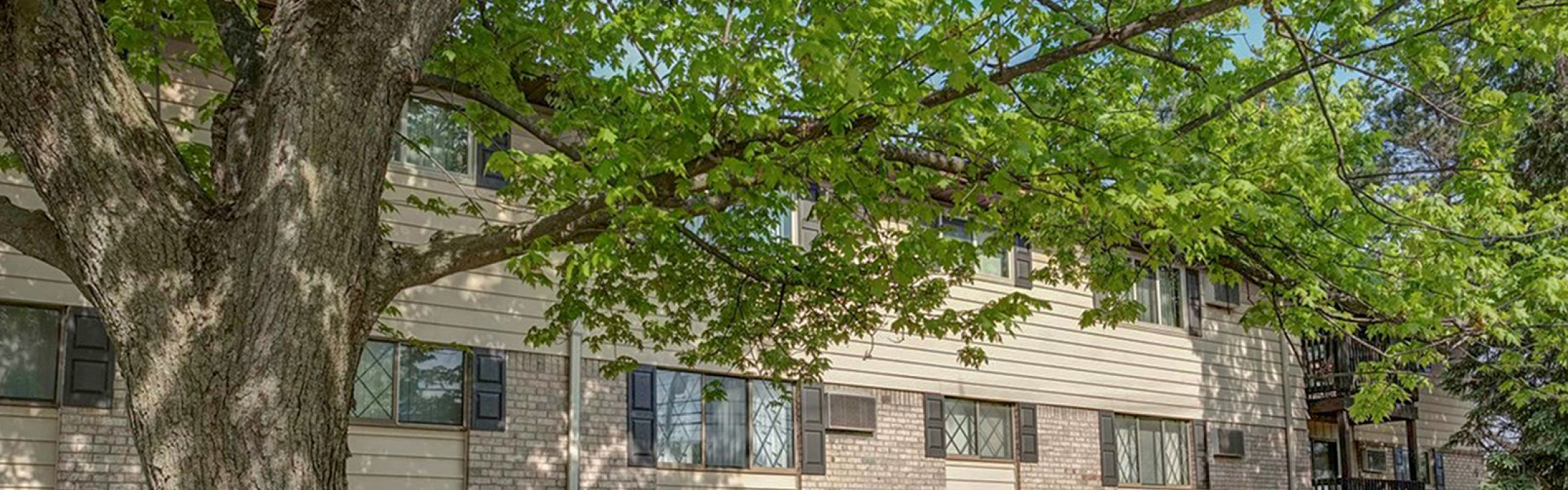 Charming apartment complex with brick facade, nestled amidst lush greenery and shaded by mature trees.