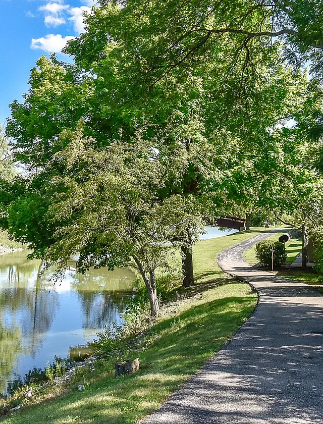 Charming lakeside pathway surrounded by lush greenery and vibrant blue skies.