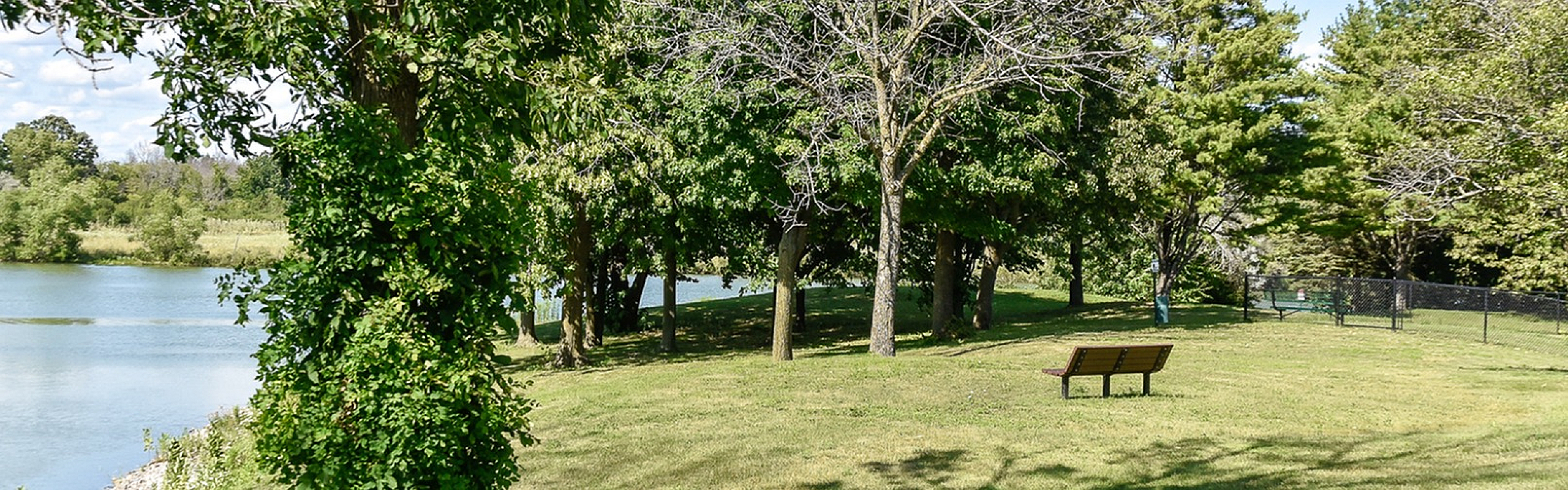 Scenic park view featuring lush green grass, tall trees, a tranquil lake, and a cozy wooden bench under a clear blue sky.