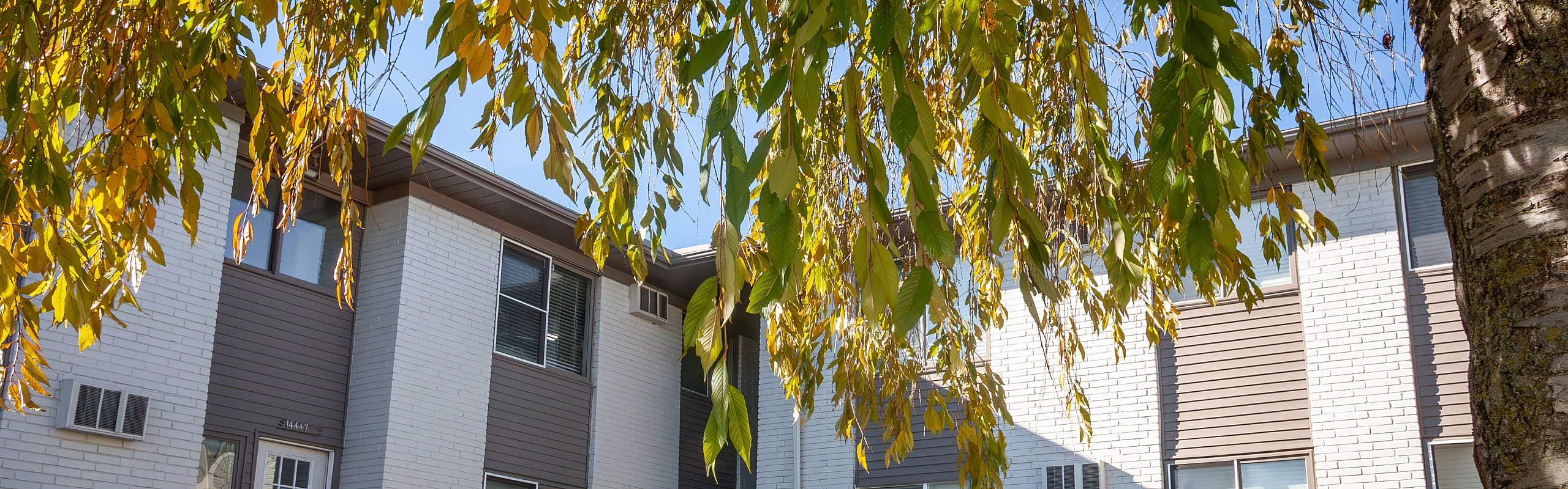 Charming apartment exterior with autumn leaves and bright windows, offering a serene and inviting atmosphere.