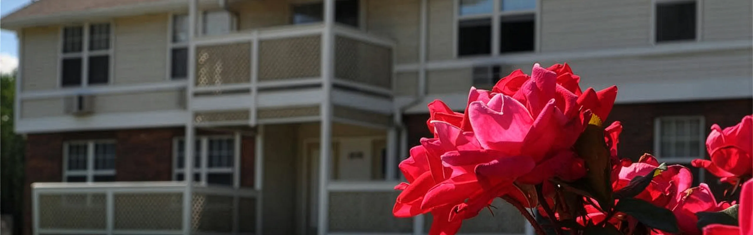 Charming apartment building with vibrant red roses in the foreground, offering a serene and inviting living environment.