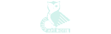 Chic logo design featuring a winking owl at Otto's Apt. Hotel, embodying modern elegance and style.