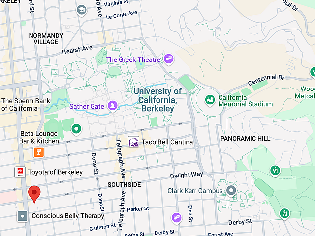 Vibrant map showcasing popular landmarks and venues around the University of California, Berkeley, including the Greek Theatre and California Memorial Stadium.