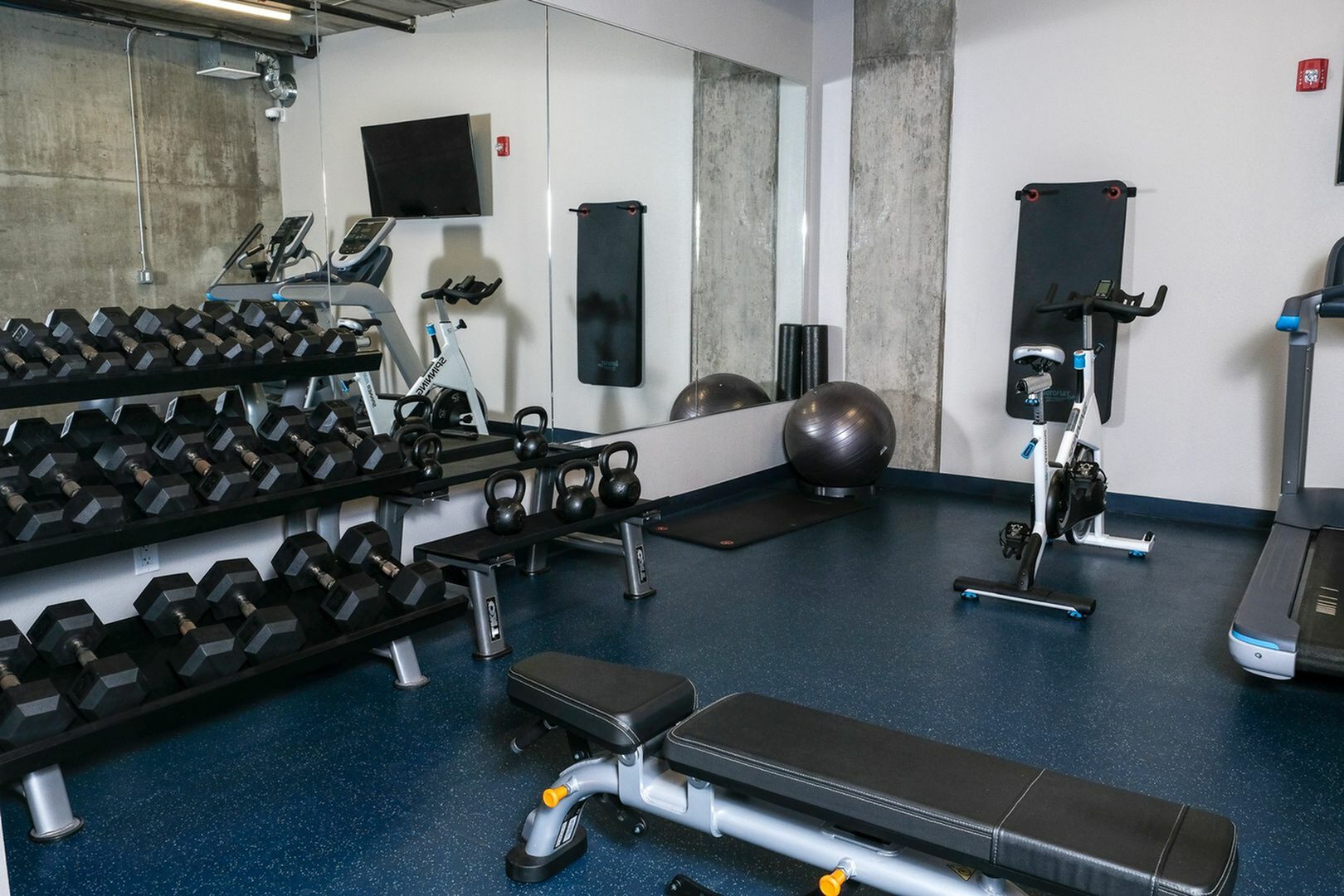 Modern fitness center with weights, kettlebells, stationary bike, and sleek exercise equipment.