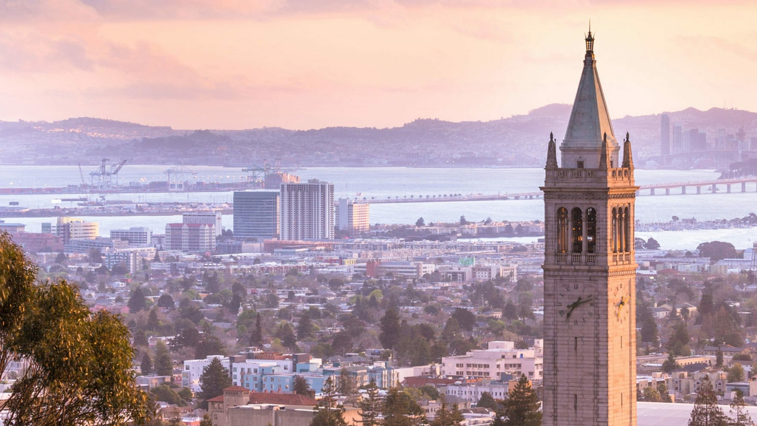 Stunning panoramic view of a city skyline with a prominent tower, surrounded by lush greenery and a serene bay at sunset.