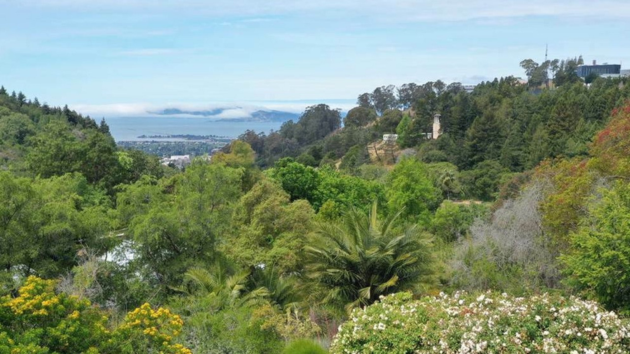 Breathtaking panoramic view of lush greenery and distant ocean, offering a serene escape with vibrant foliage and scenic landscapes.