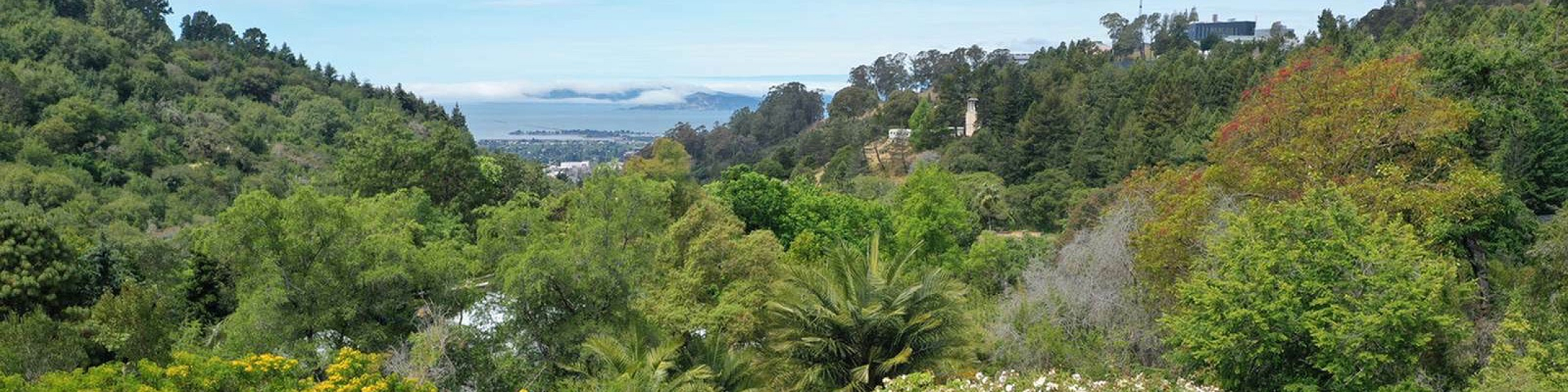 Breathtaking view of lush green hills and distant ocean, offering serene nature and tranquil coastal vibes.