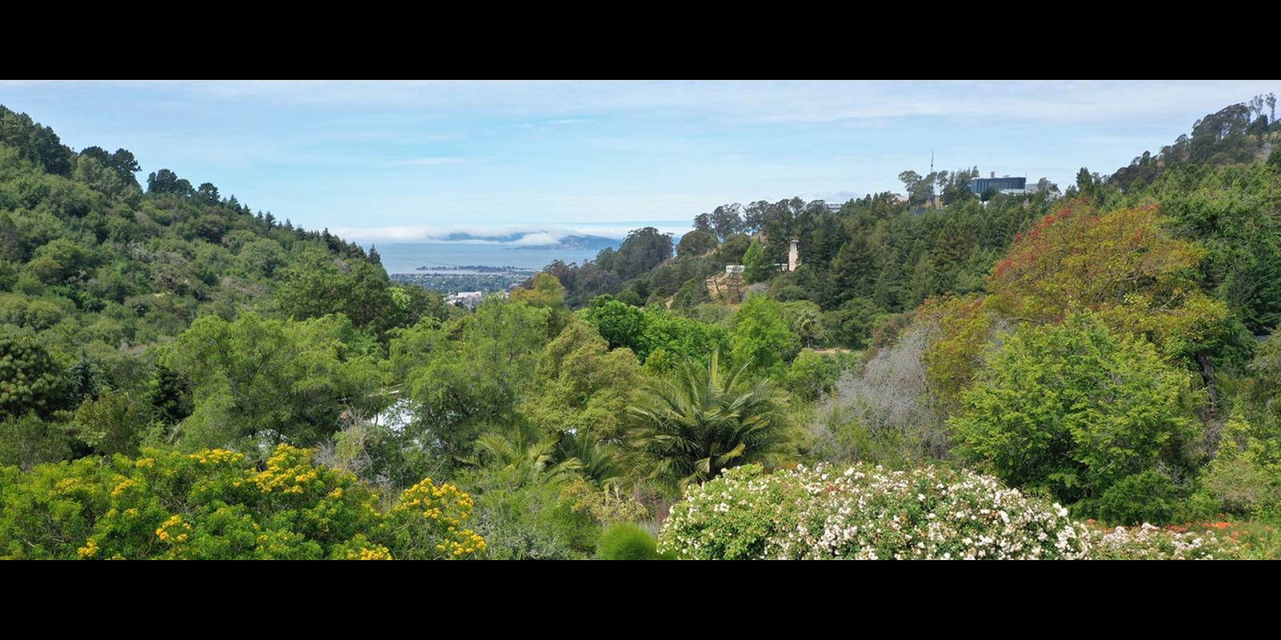 Breathtaking panoramic view of lush green hills and vibrant foliage, with a glimpse of the coastal horizon under a bright blue sky.