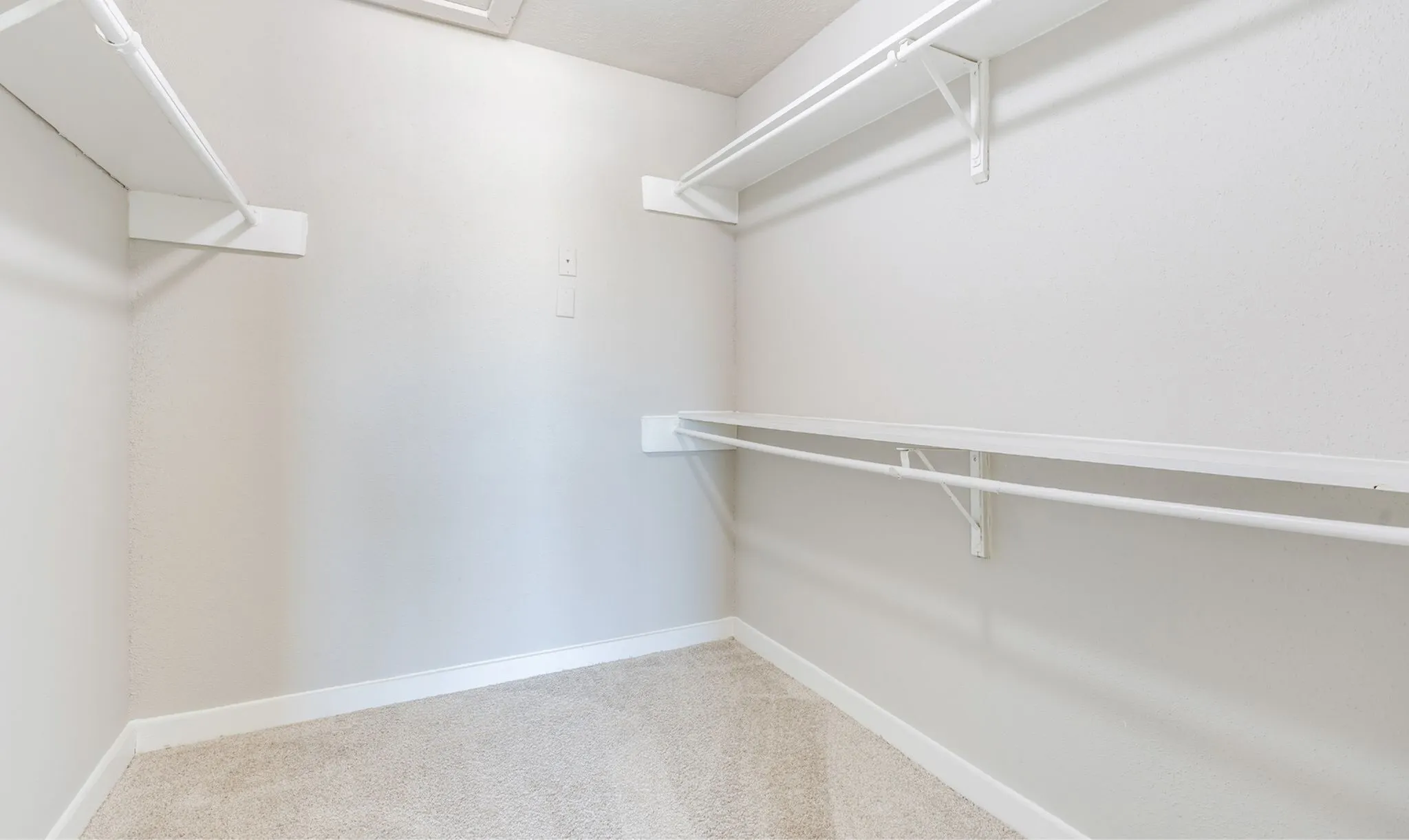 Spacious walk-in closet with ample shelving and neutral carpet flooring, ideal for organized living.