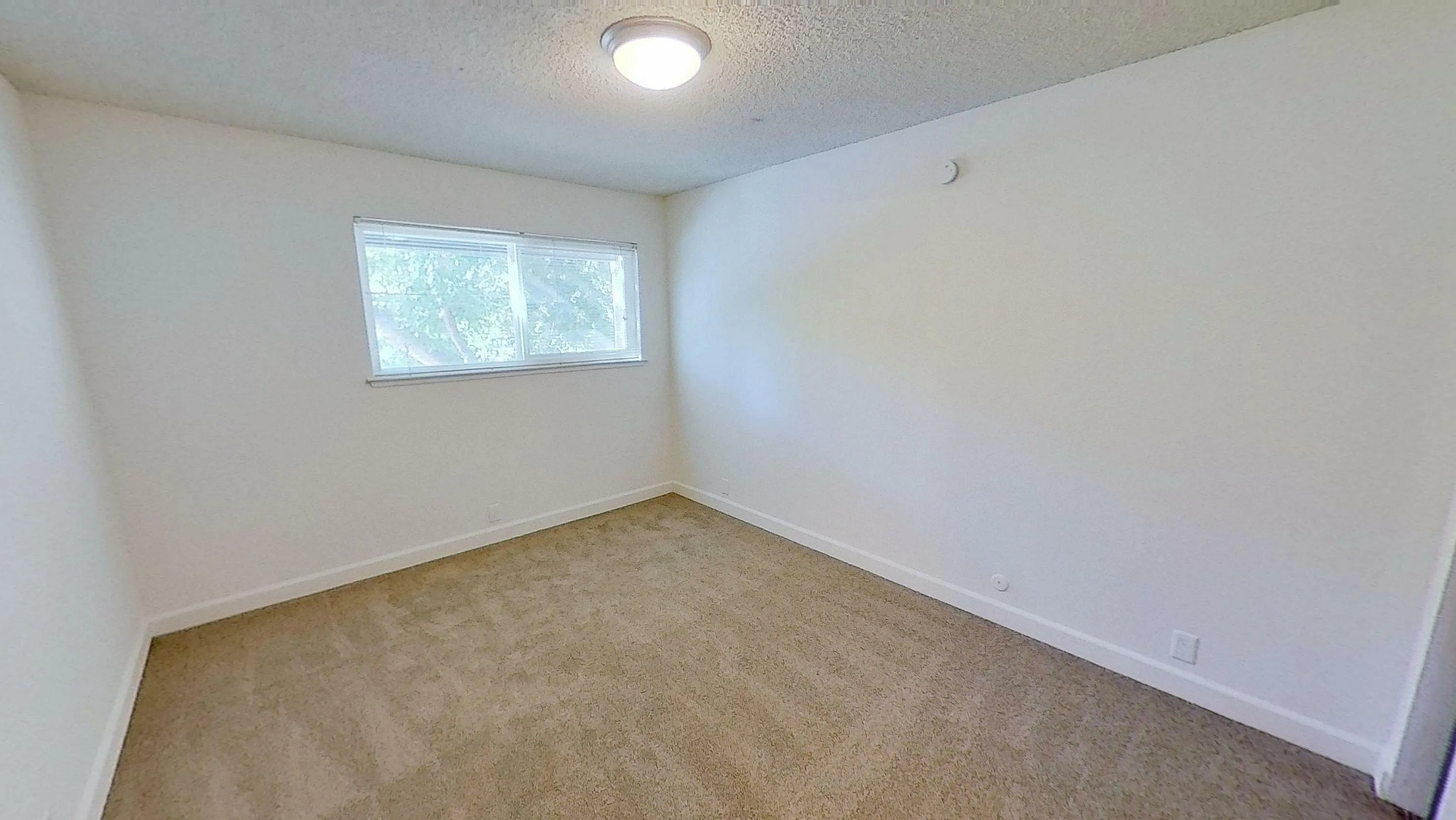 Large Bedroom