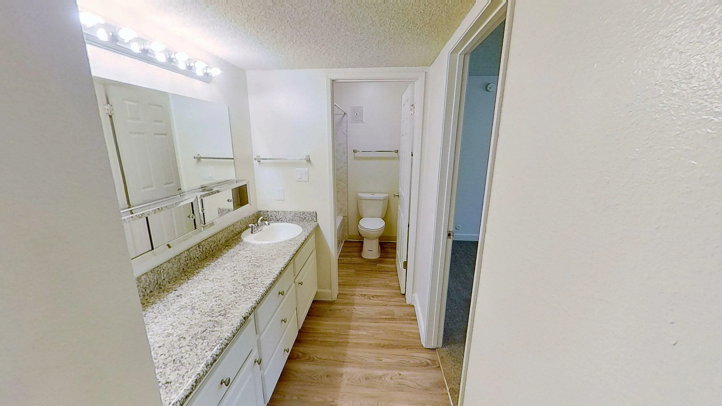 Large Shared Vanity