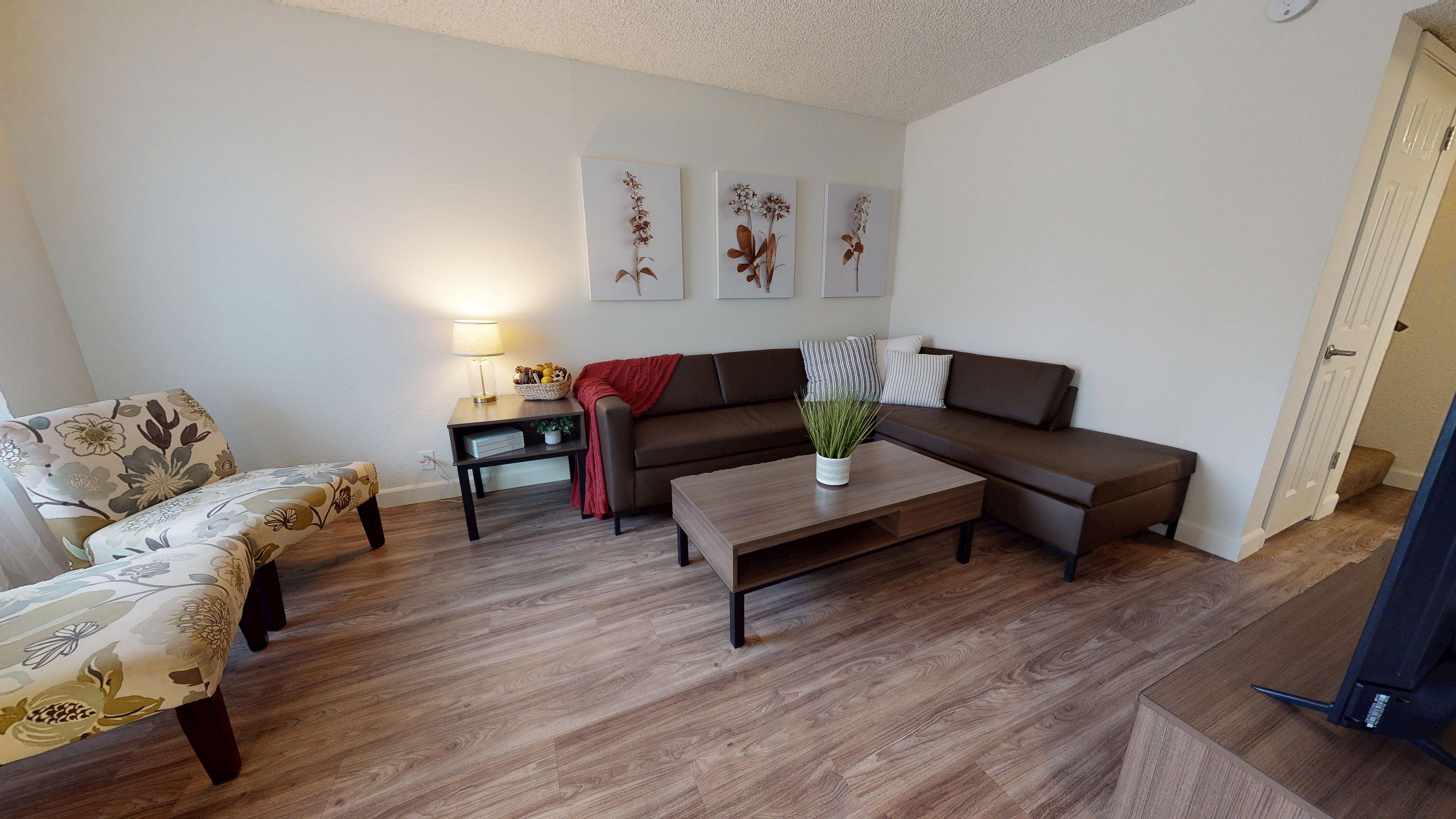 Shared Living Room