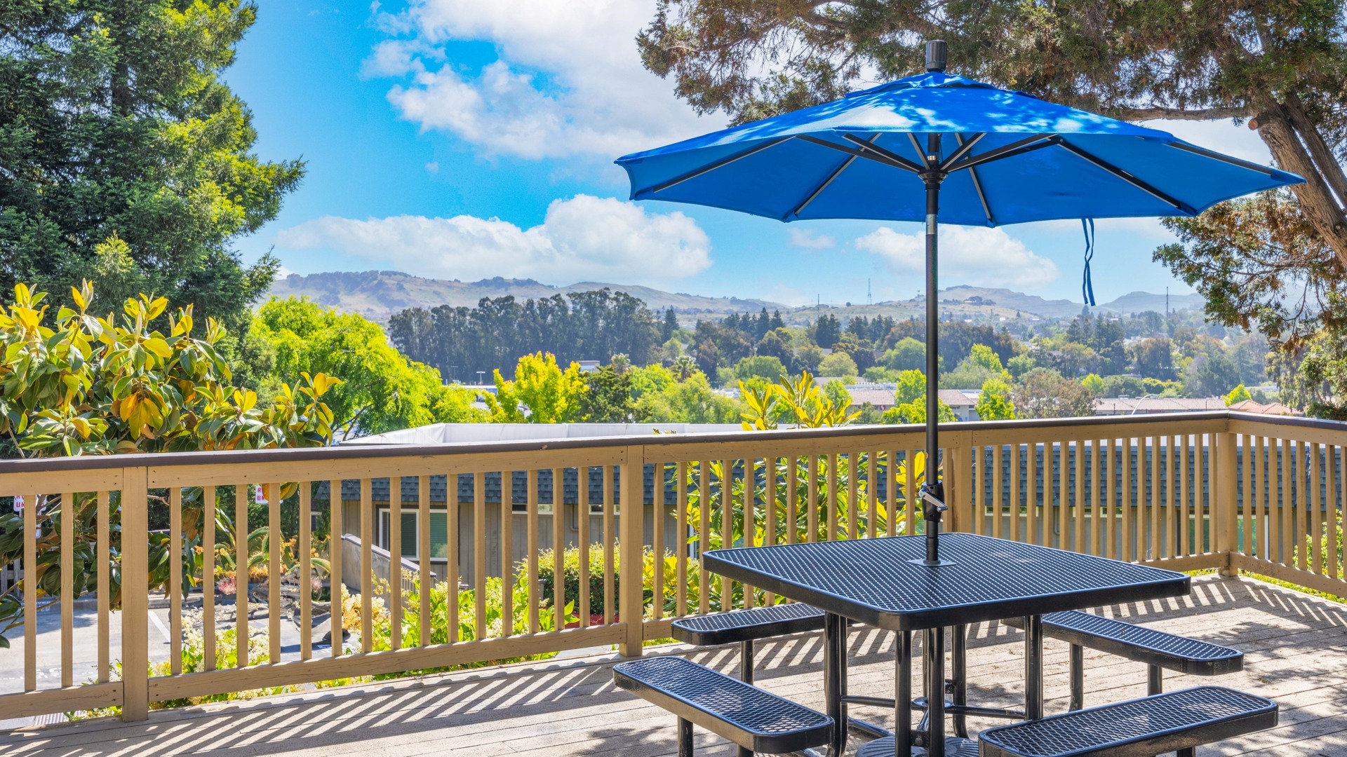 Patio View