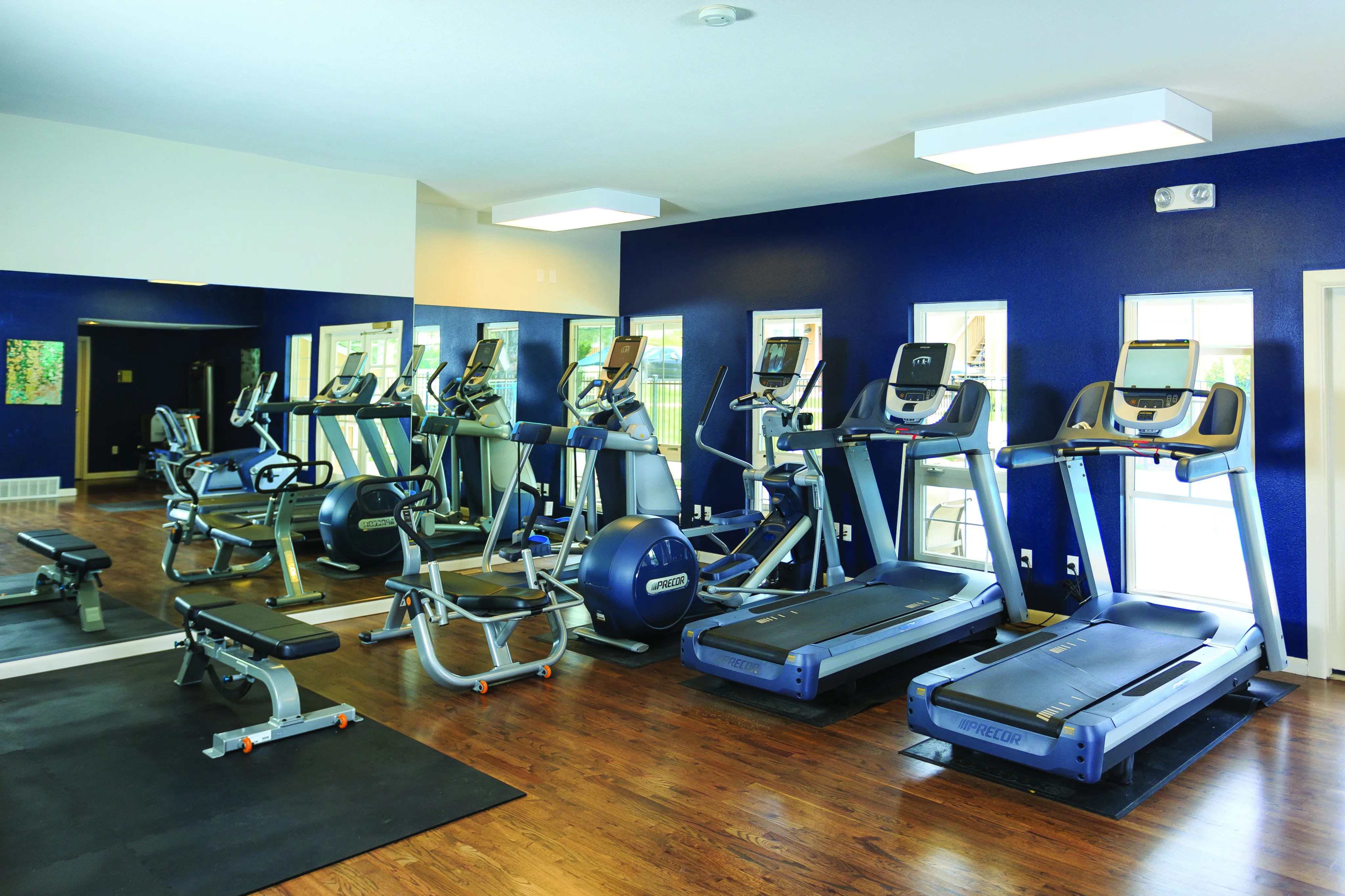 Modern fitness center with state-of-the-art treadmills and exercise equipment, featuring vibrant blue walls and mirrored accents.