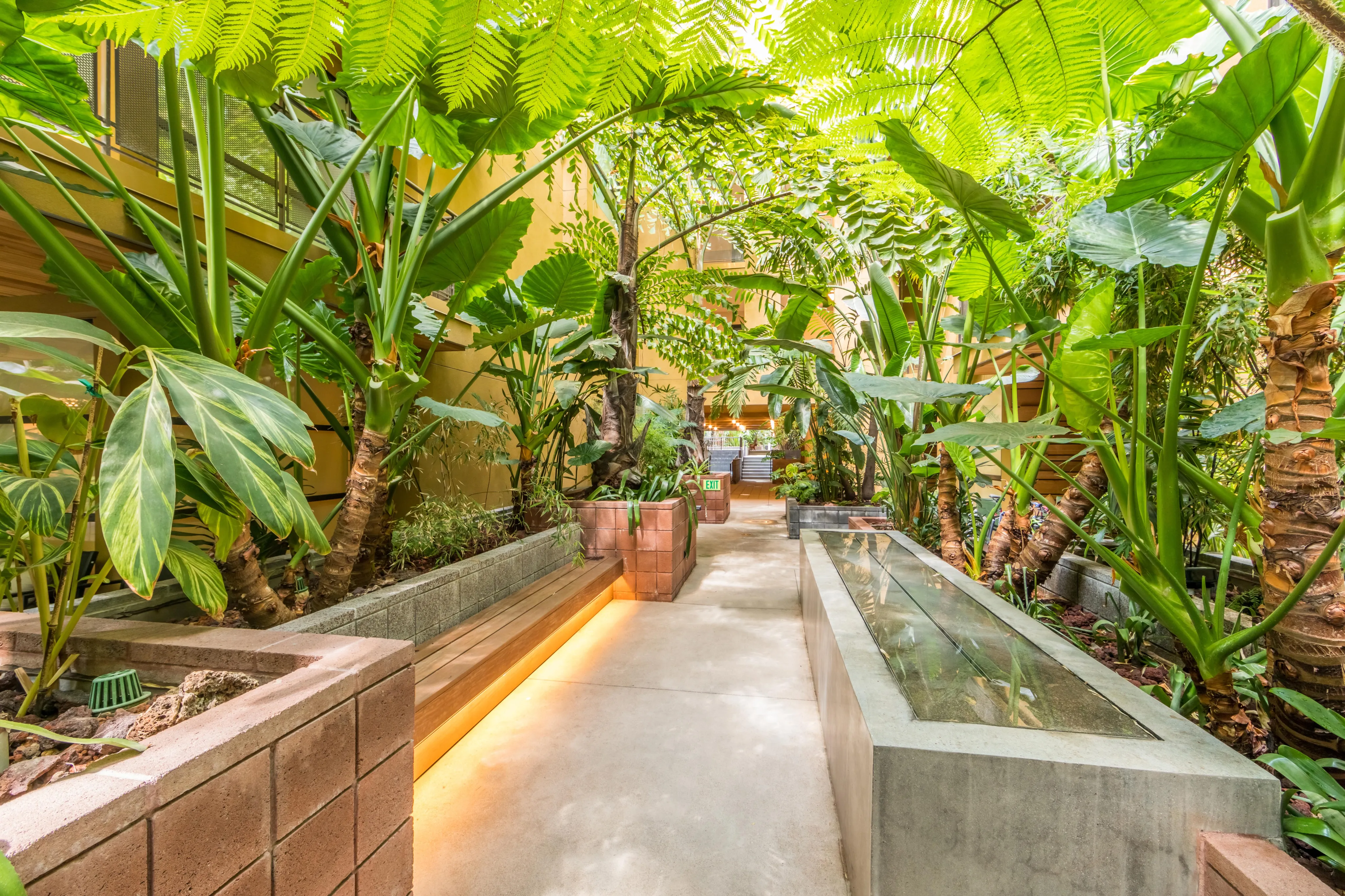 Luxurious indoor garden corridor boasting lush greenery, modern planters, and serene ambiance.