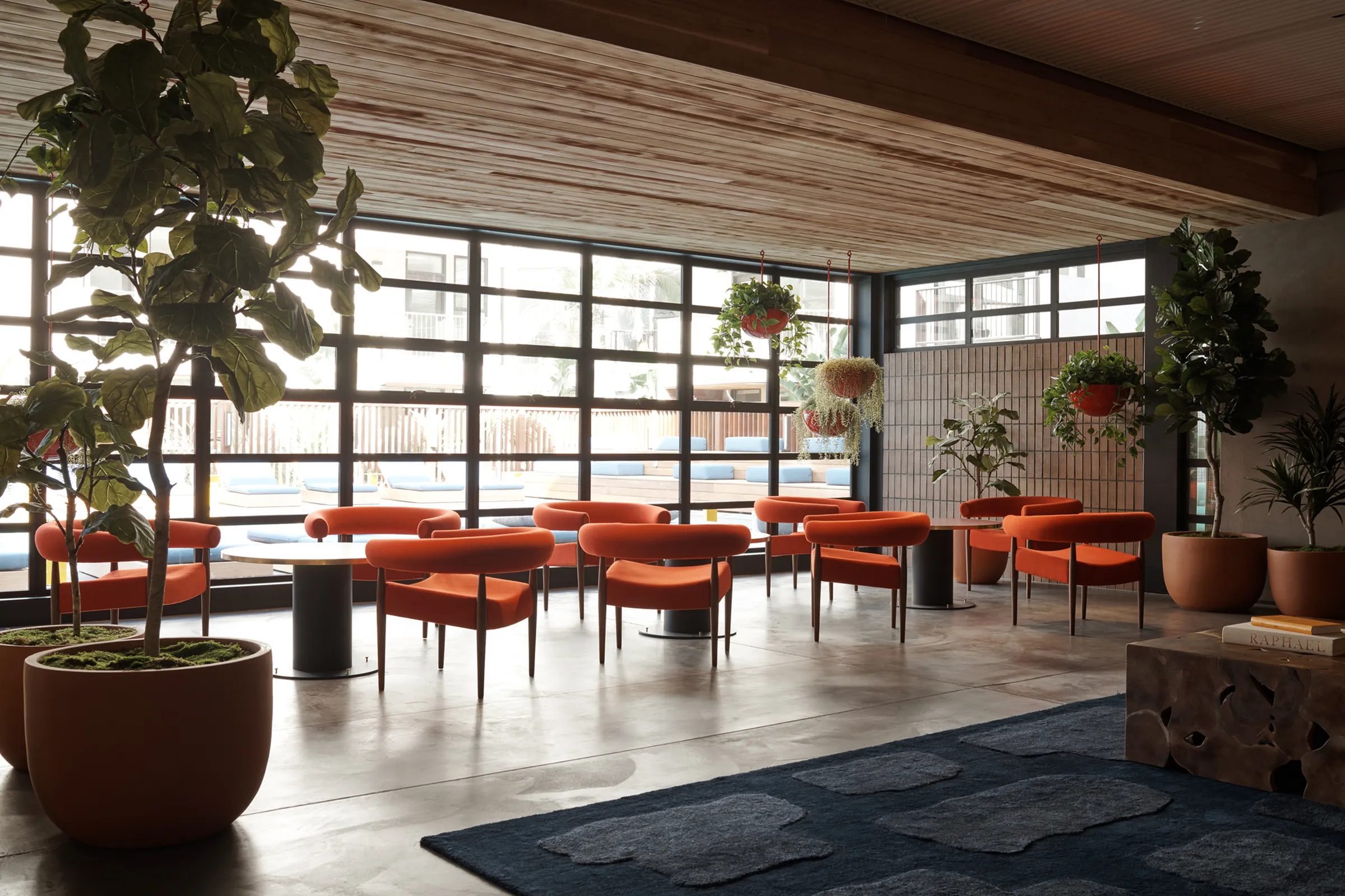Bright and inviting lounge area with modern orange chairs and lush green plants, accentuated by large windows bringing in natural light.