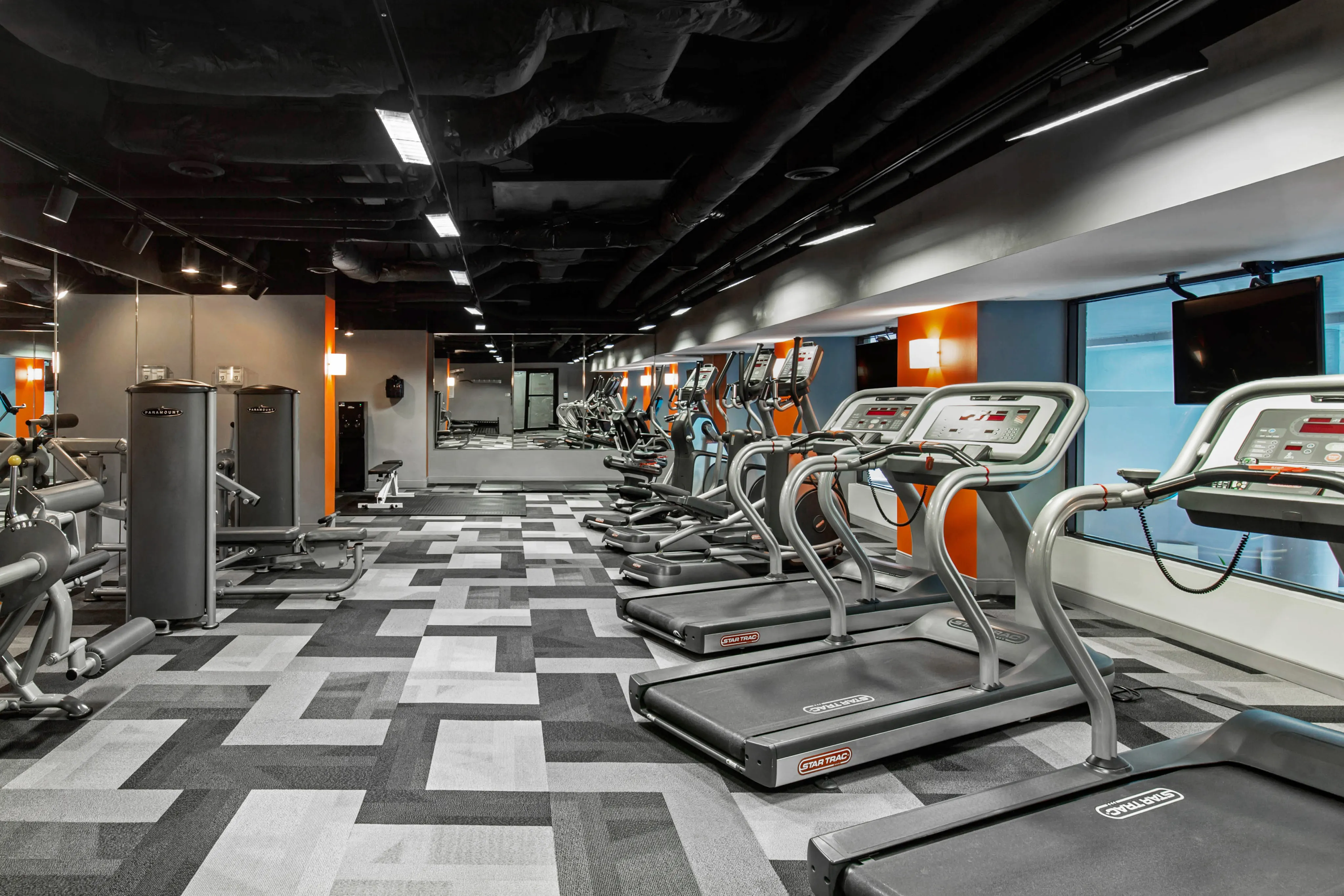 Modern fitness center equipped with state-of-the-art cardio machines and vibrant decor for an energizing workout.