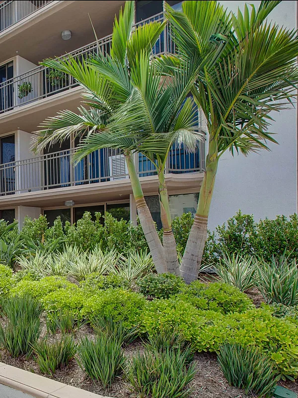 Beautiful apartment complex with lush green landscaping and modern balconies.