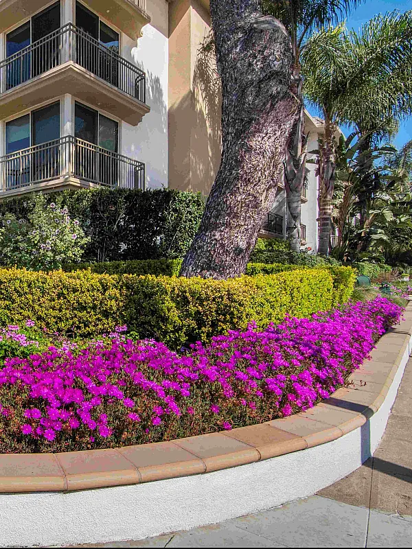 Vibrant coastal apartment exterior with lush landscaping and ocean views, featuring colorful flowers and modern balconies.