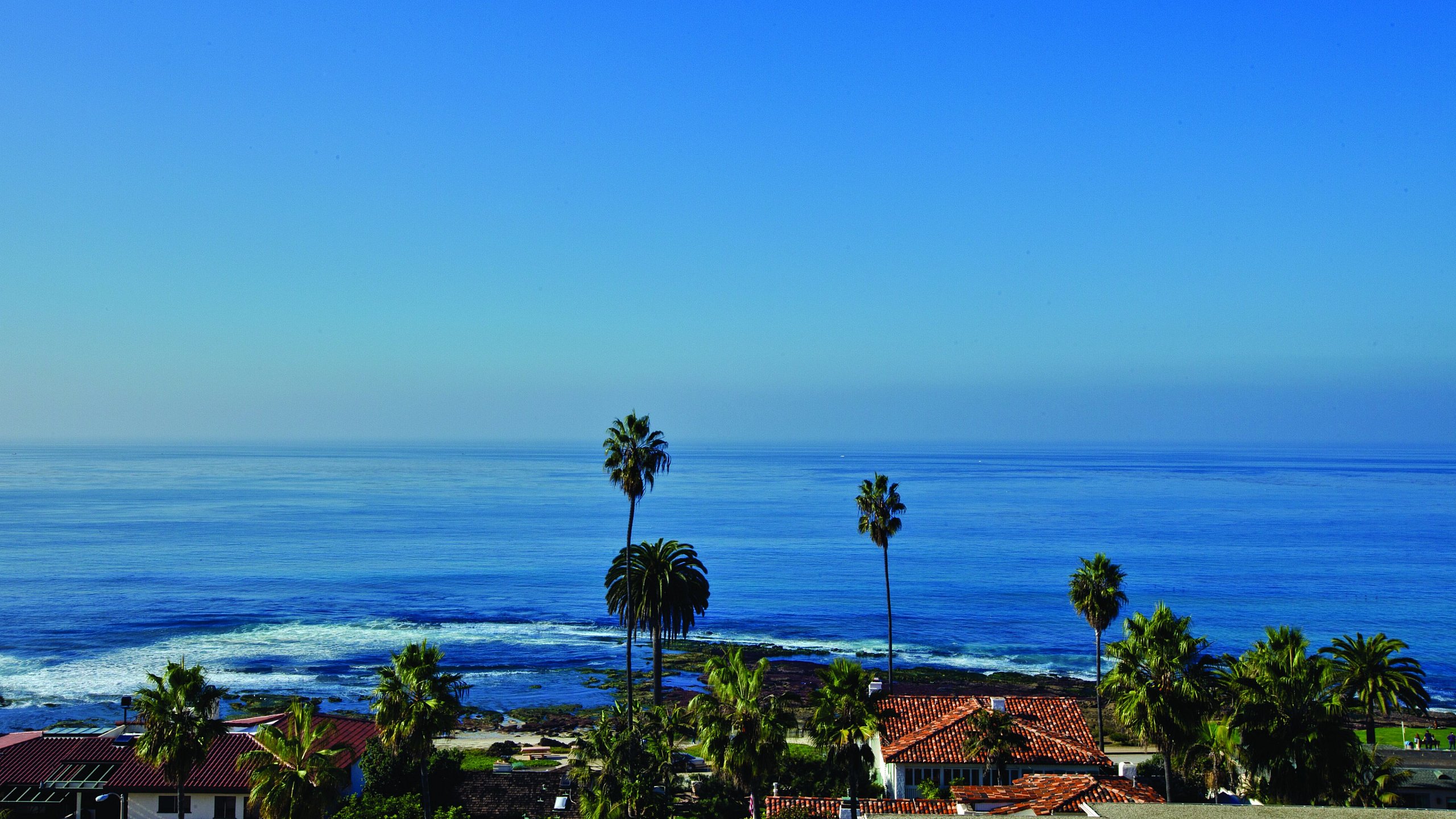 Breathtaking ocean view with palm trees and charming red-roofed homes, perfect for a serene coastal living experience.