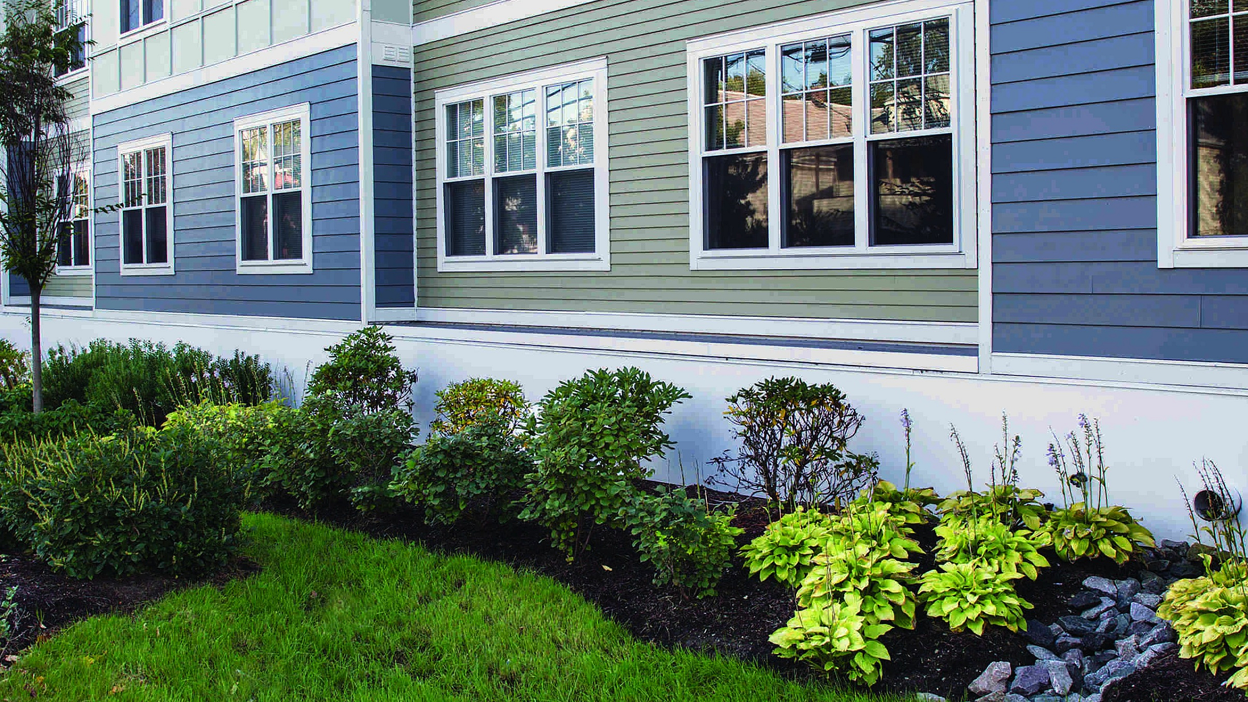Charming apartment exterior with modern gray and green siding, featuring large windows and beautifully landscaped greenery.