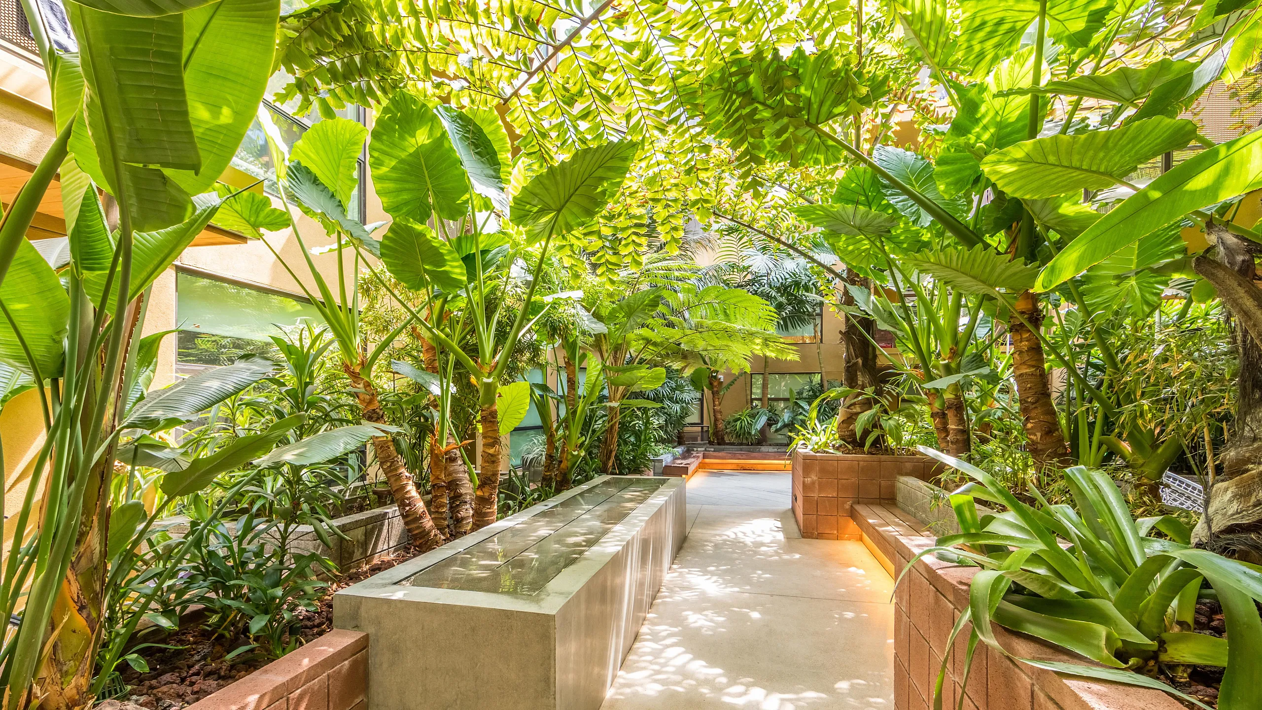 Inviting apartment courtyard with lush green tropical plants and a tranquil pathway, offering a serene outdoor retreat.