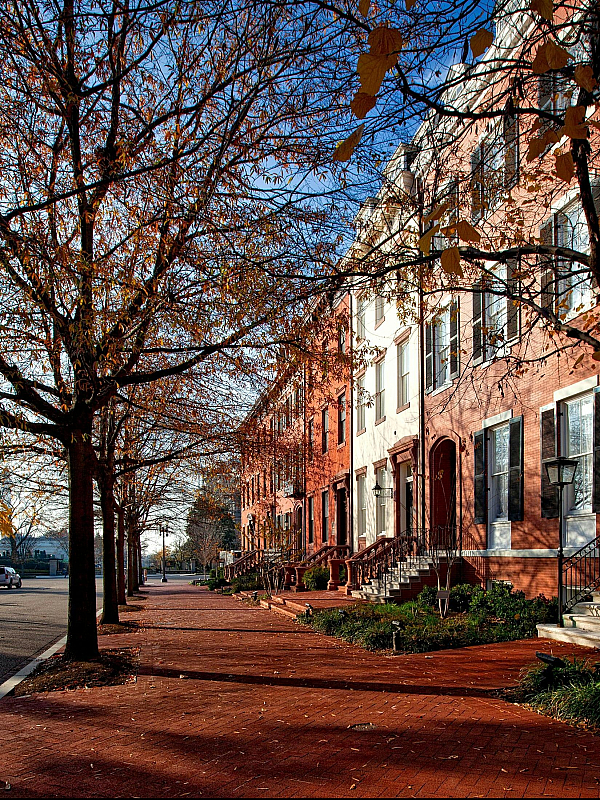 Charming tree-lined street with elegant brick townhouses and warm autumn hues.