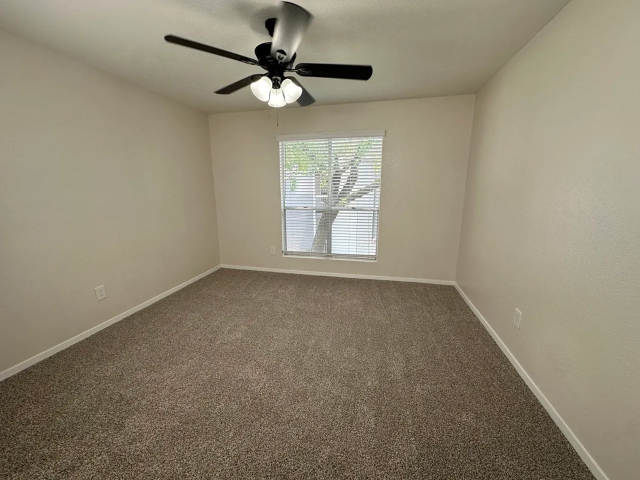 Bright and airy bedroom with soft carpeting, large window for natural light, and elegant ceiling fan.