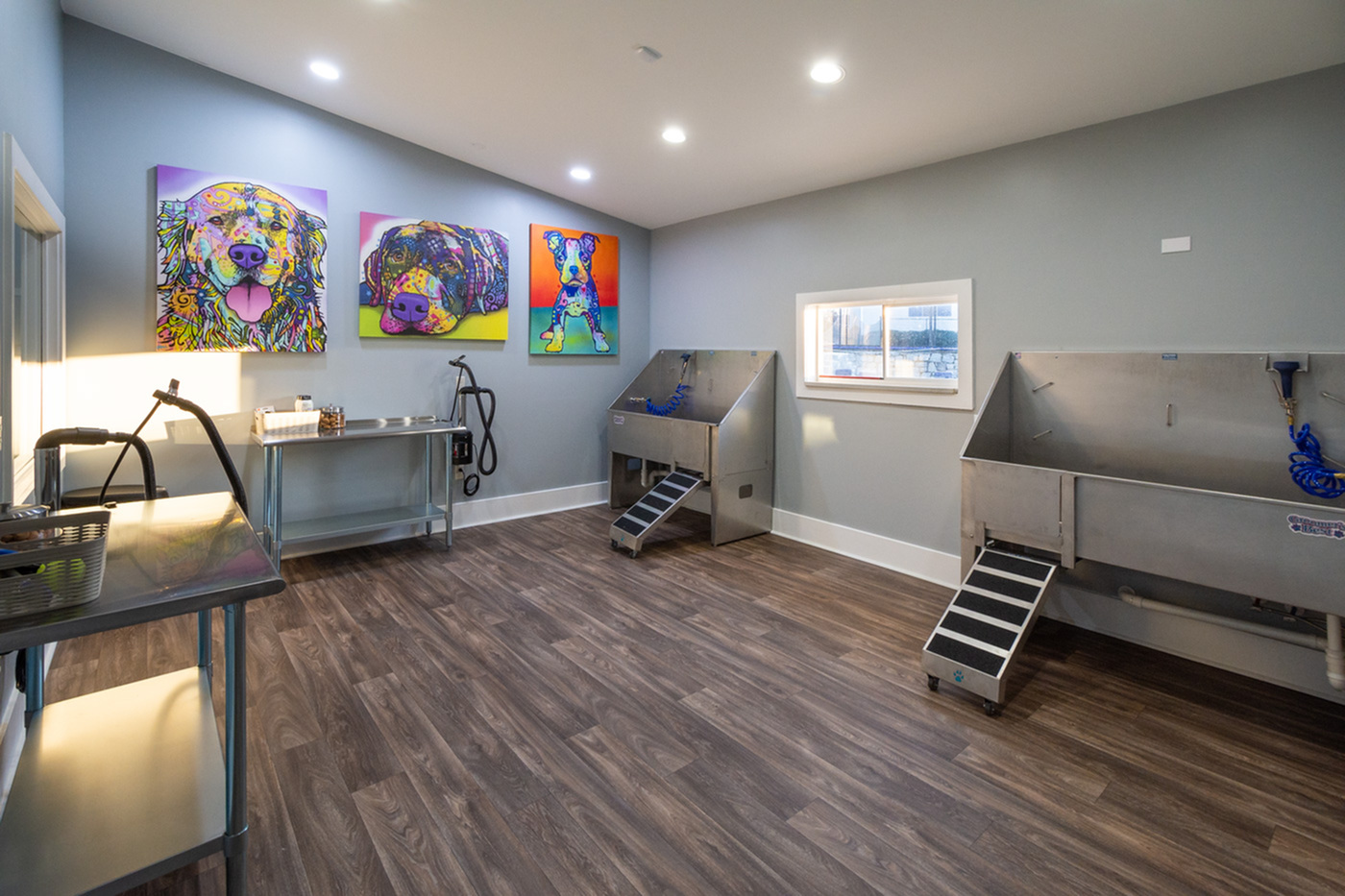 Bright and modern pet grooming room featuring vibrant dog artwork, stainless steel wash stations, and sleek wood flooring.