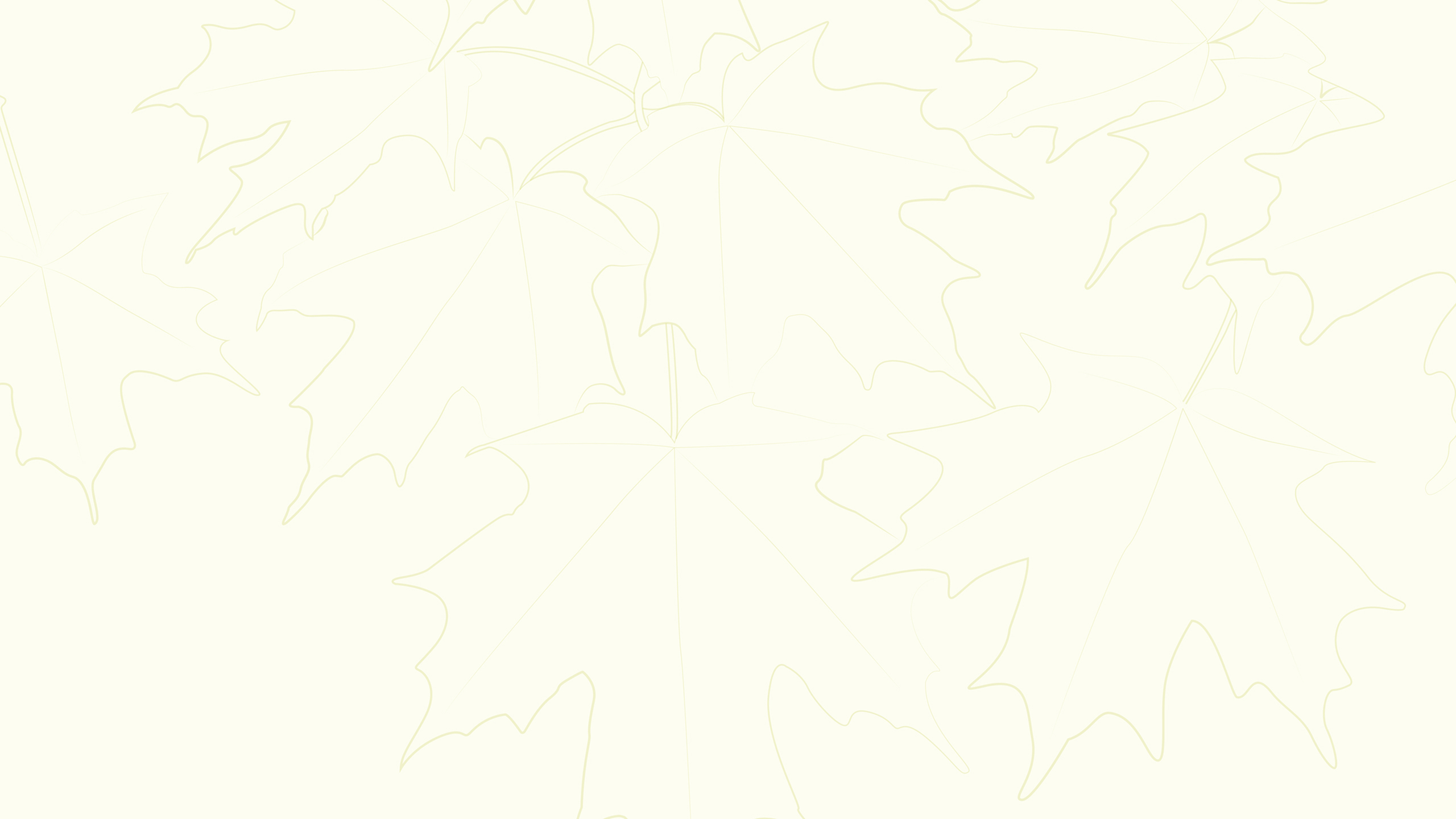 Sugar Maple Leaves