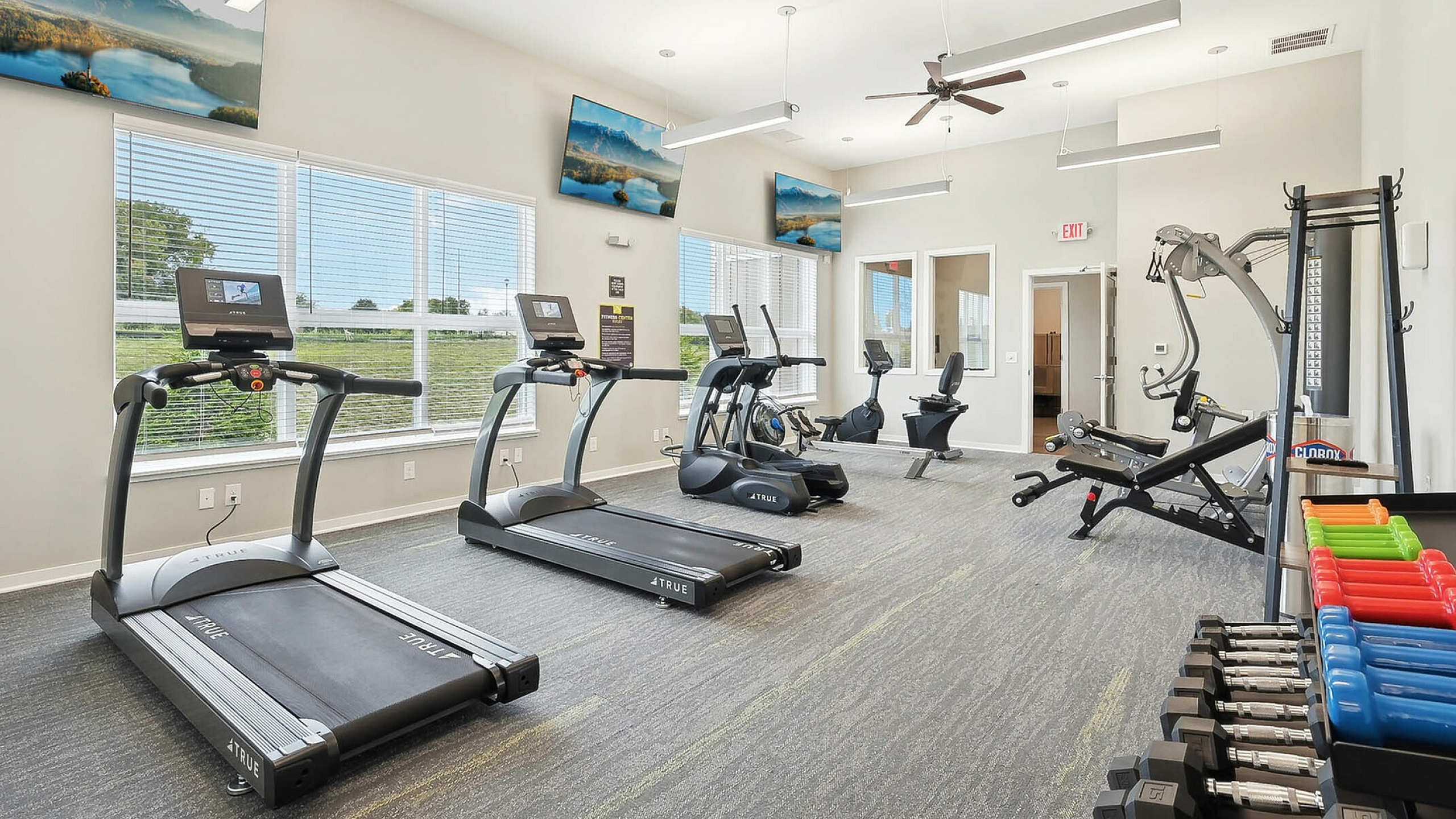 Modern fitness center with state-of-the-art equipment, bright natural lighting, and vibrant wall art for an inspiring workout environment.