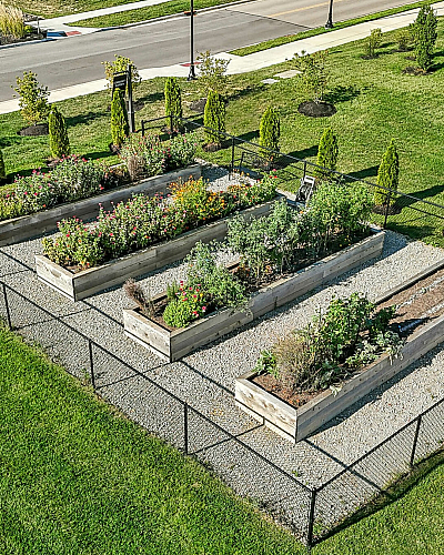 Beautiful aerial view of a community garden with neatly arranged raised beds surrounded by lush green grass and trees.
