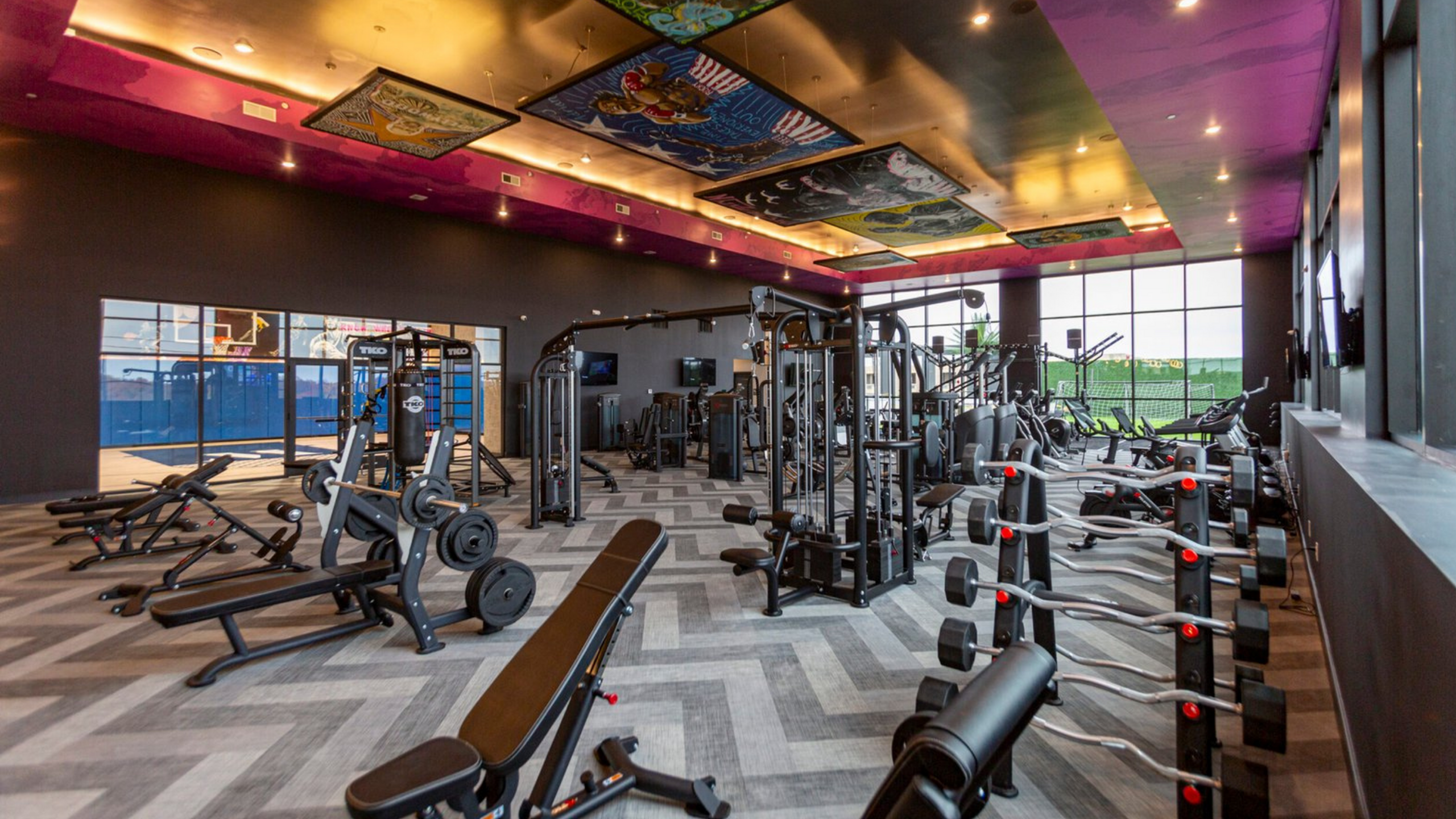 Luxurious fitness center with modern gym equipment, vibrant ceiling art, and spacious workout area with natural light.